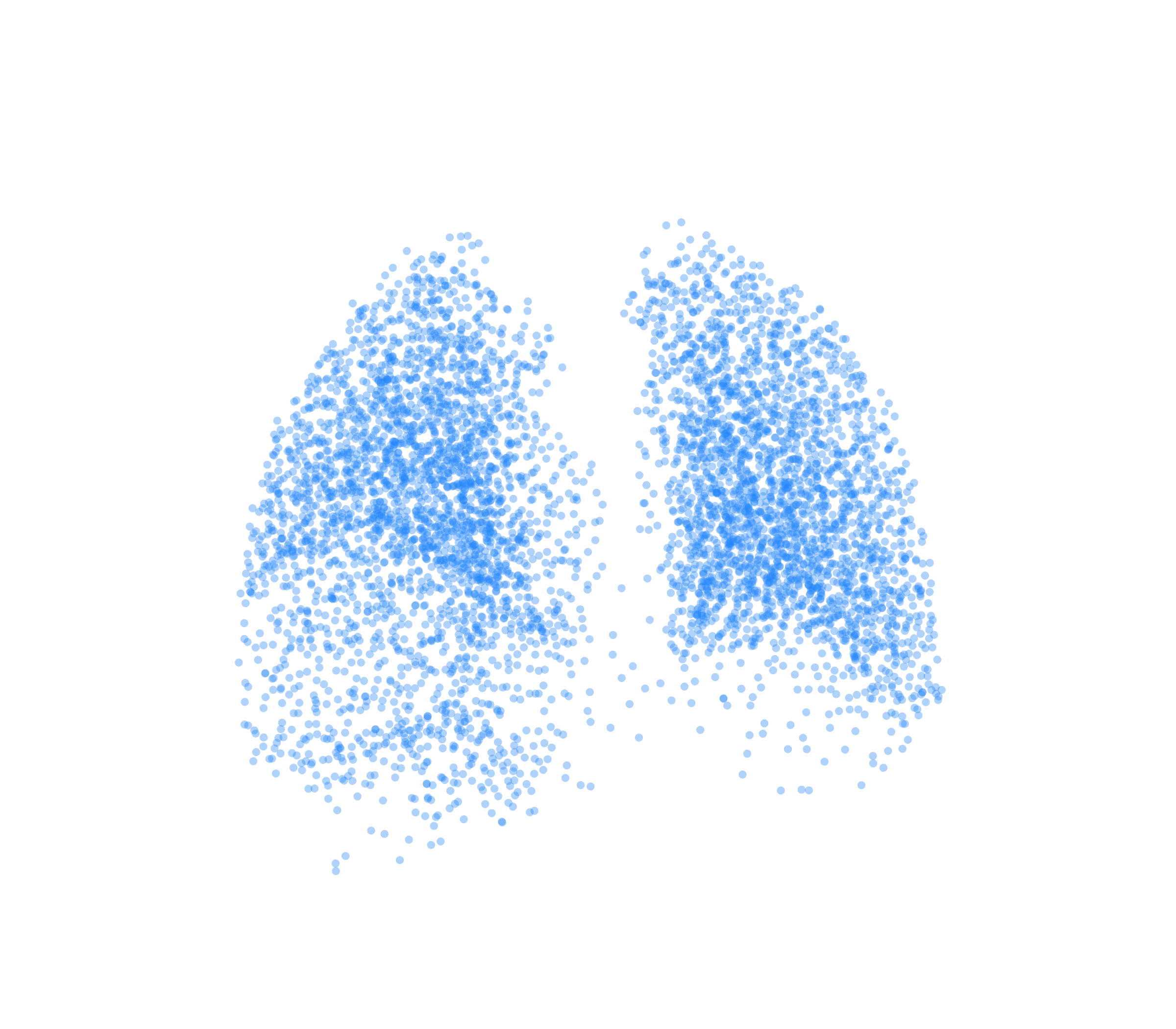 Point Cloud (Inspiration) - Back View