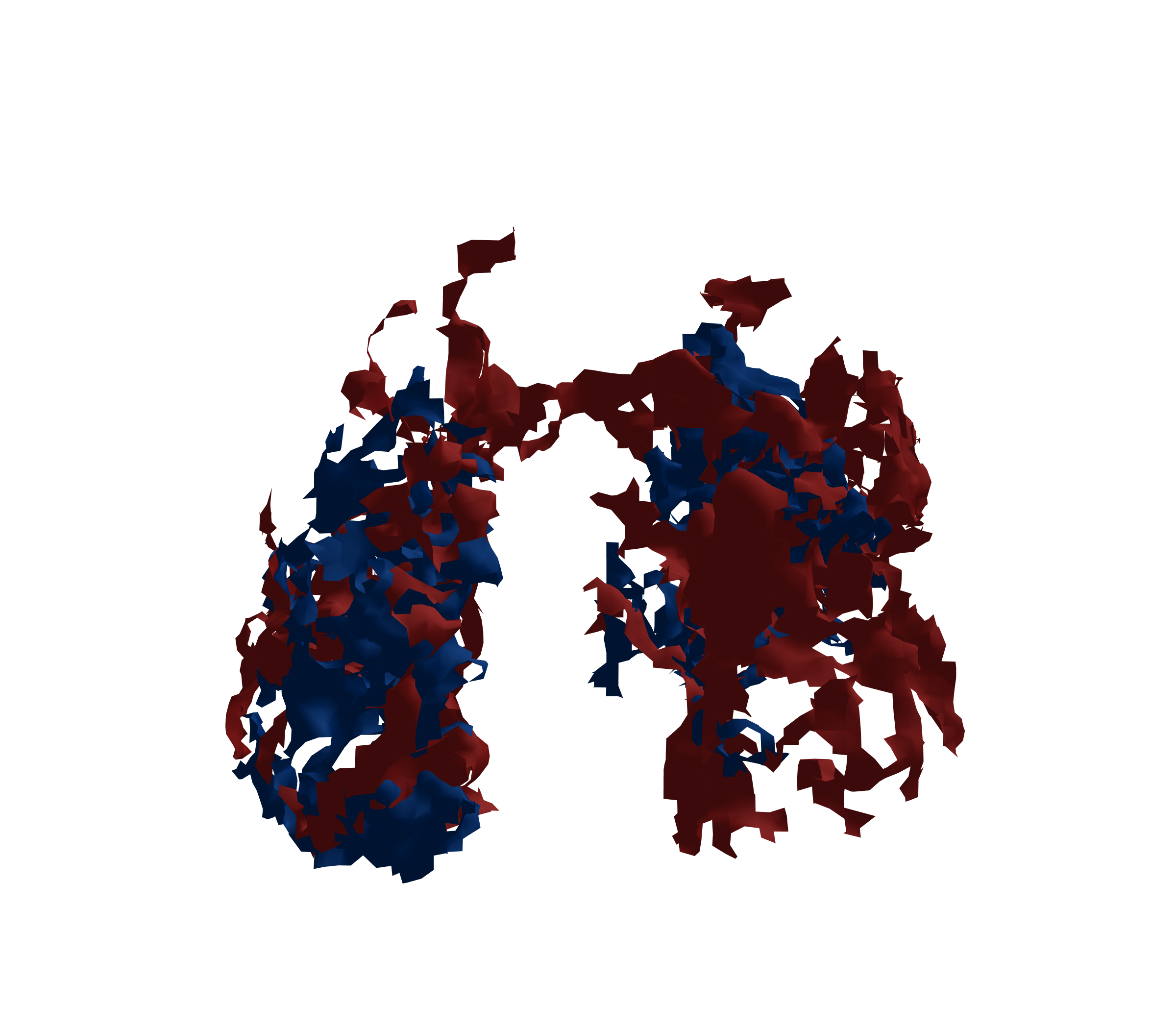 Surface Mesh - Front View