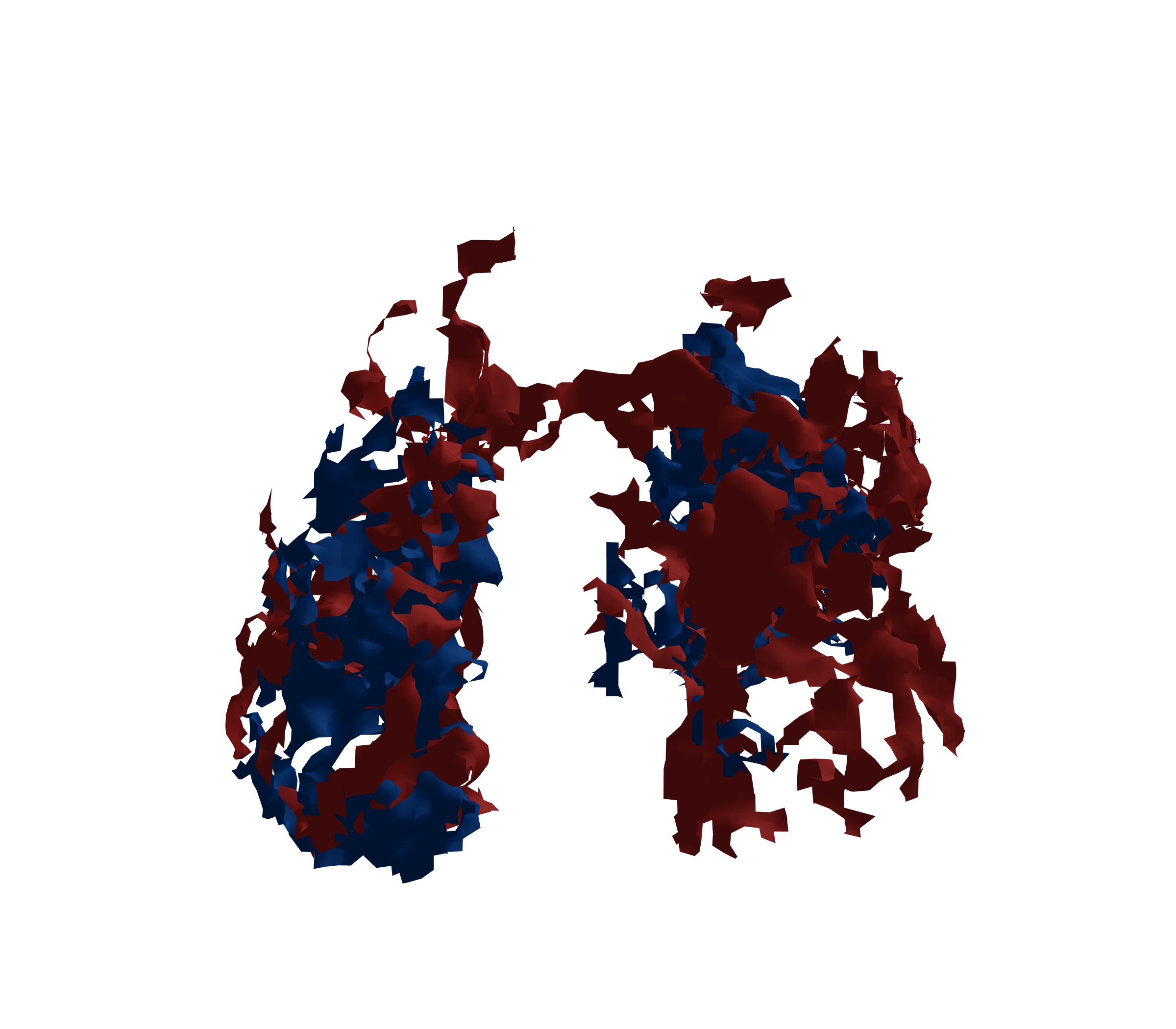 Surface Mesh - Front View