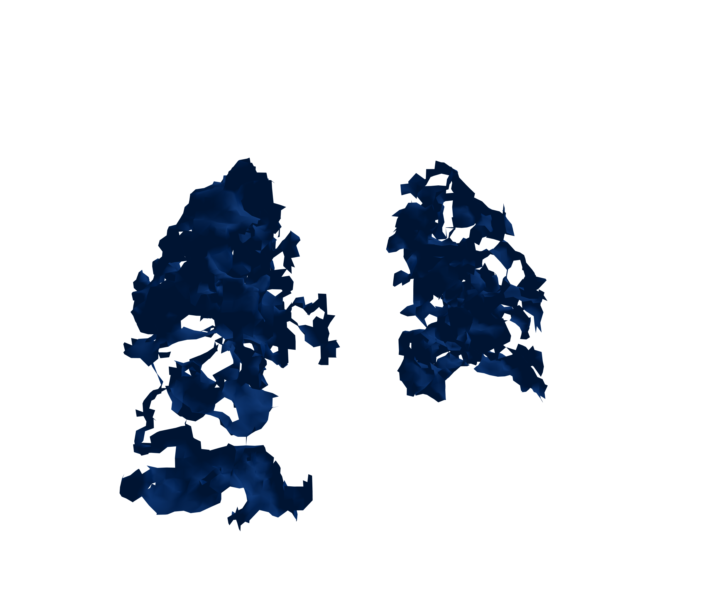 Surface Mesh (Inspiration) - Back View