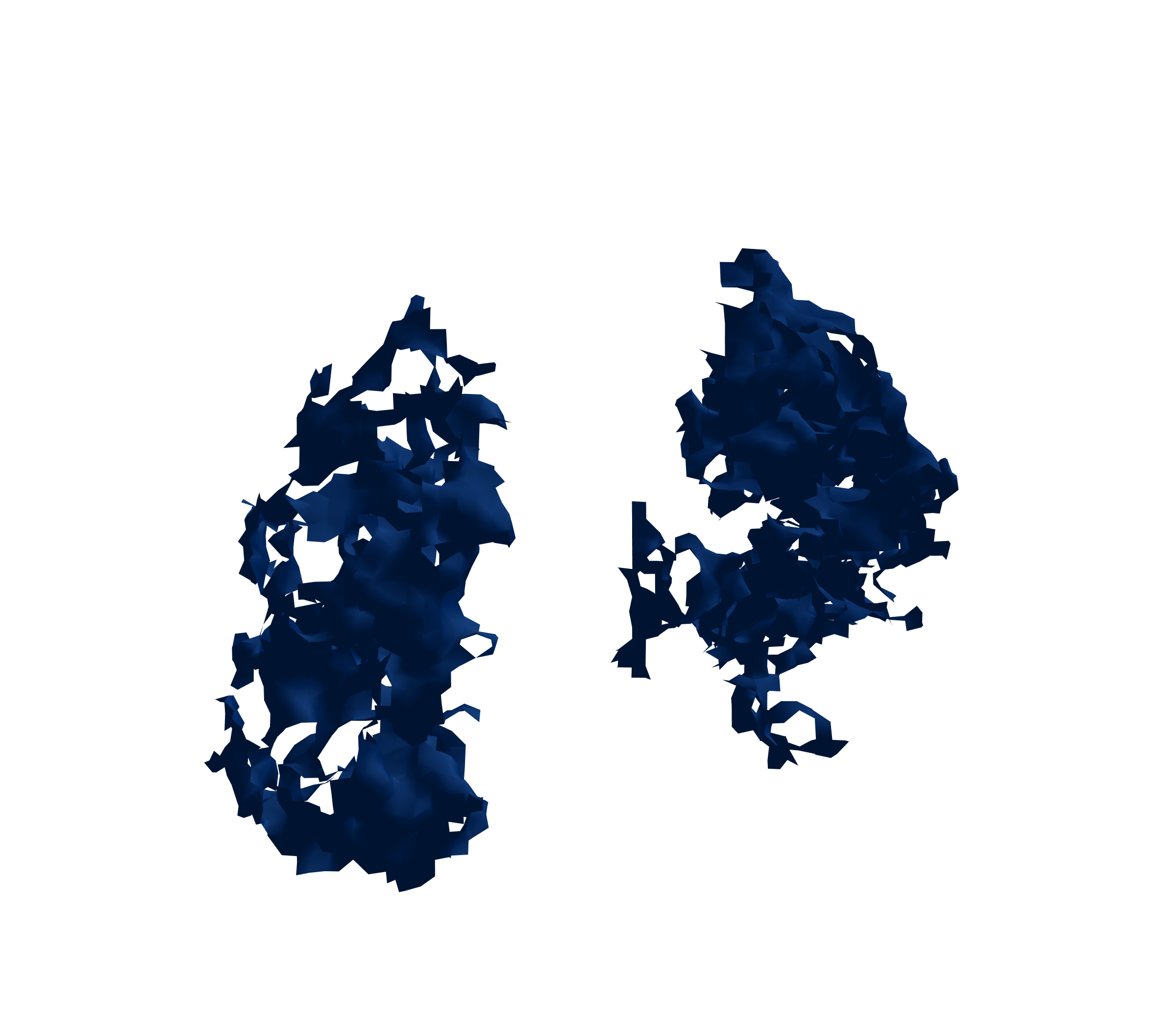 Surface Mesh (Inspiration) - Front View