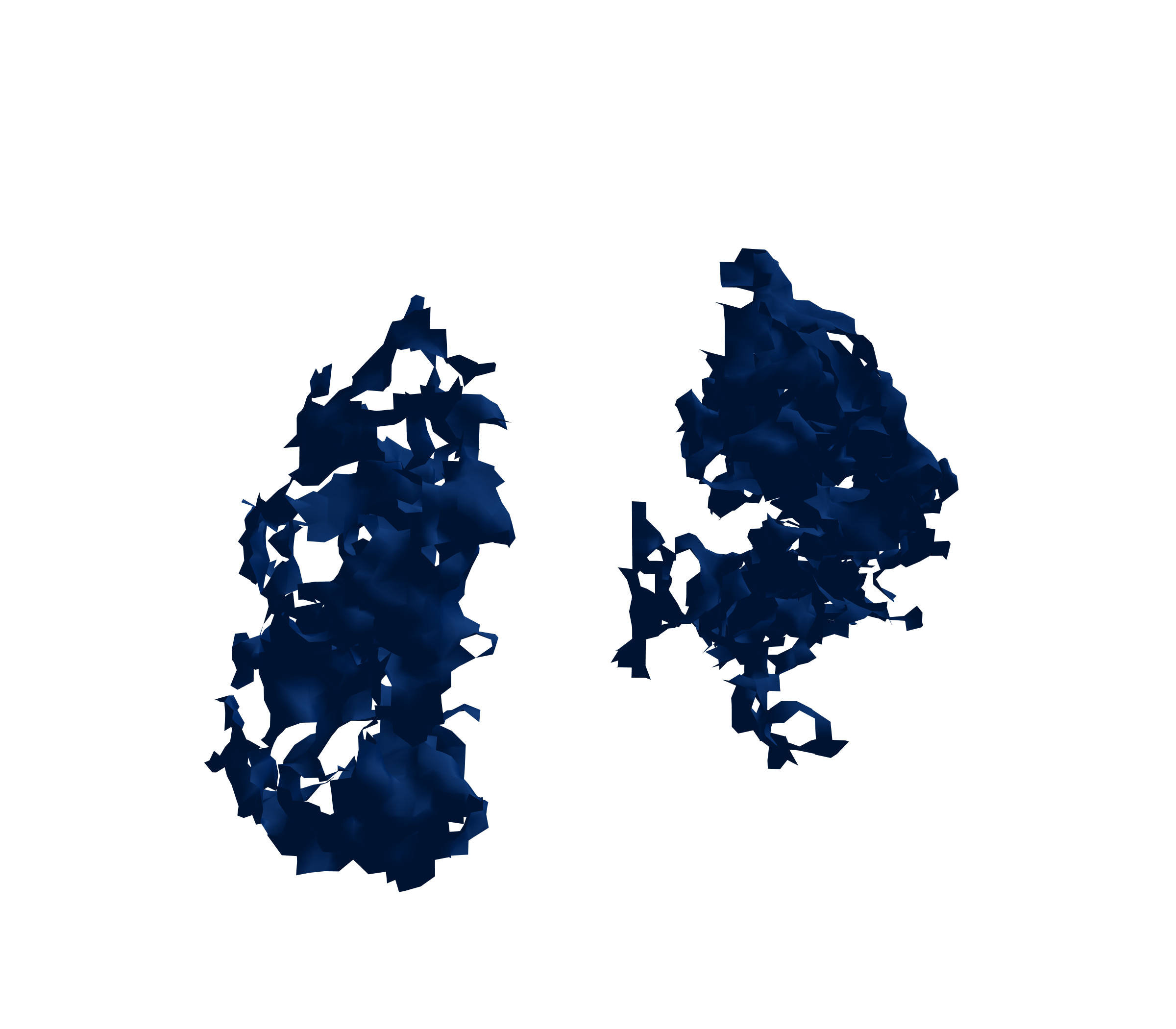 Surface Mesh (Inspiration) - Front View