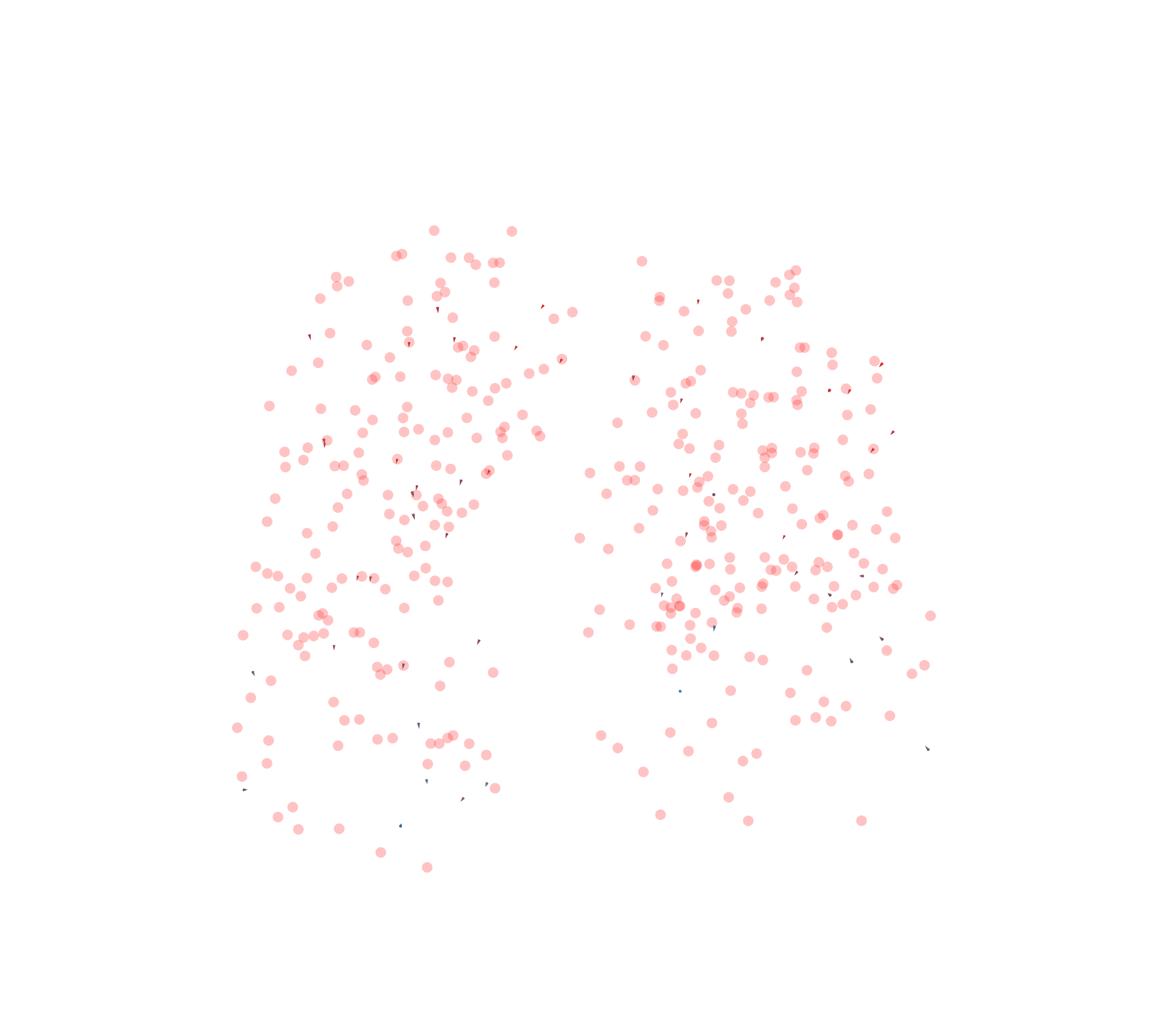 Displacement Vectors - Front View