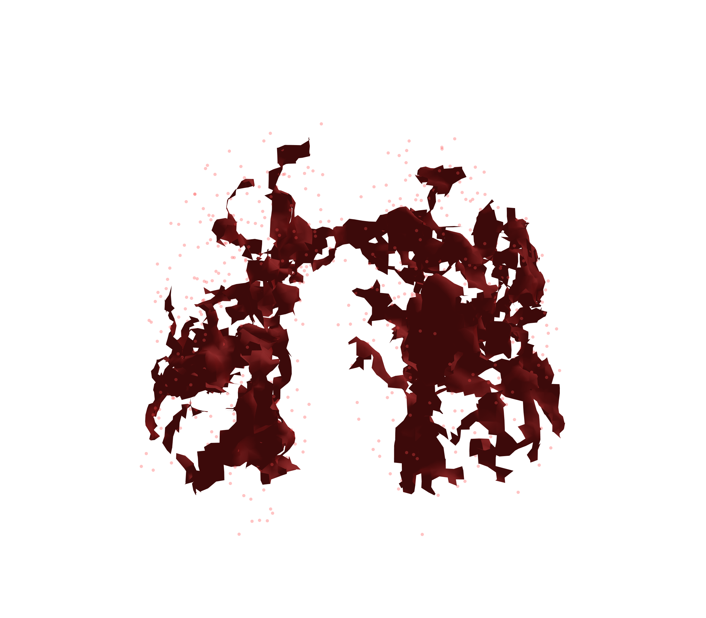 Combined Visualization (Expiration) - Front View