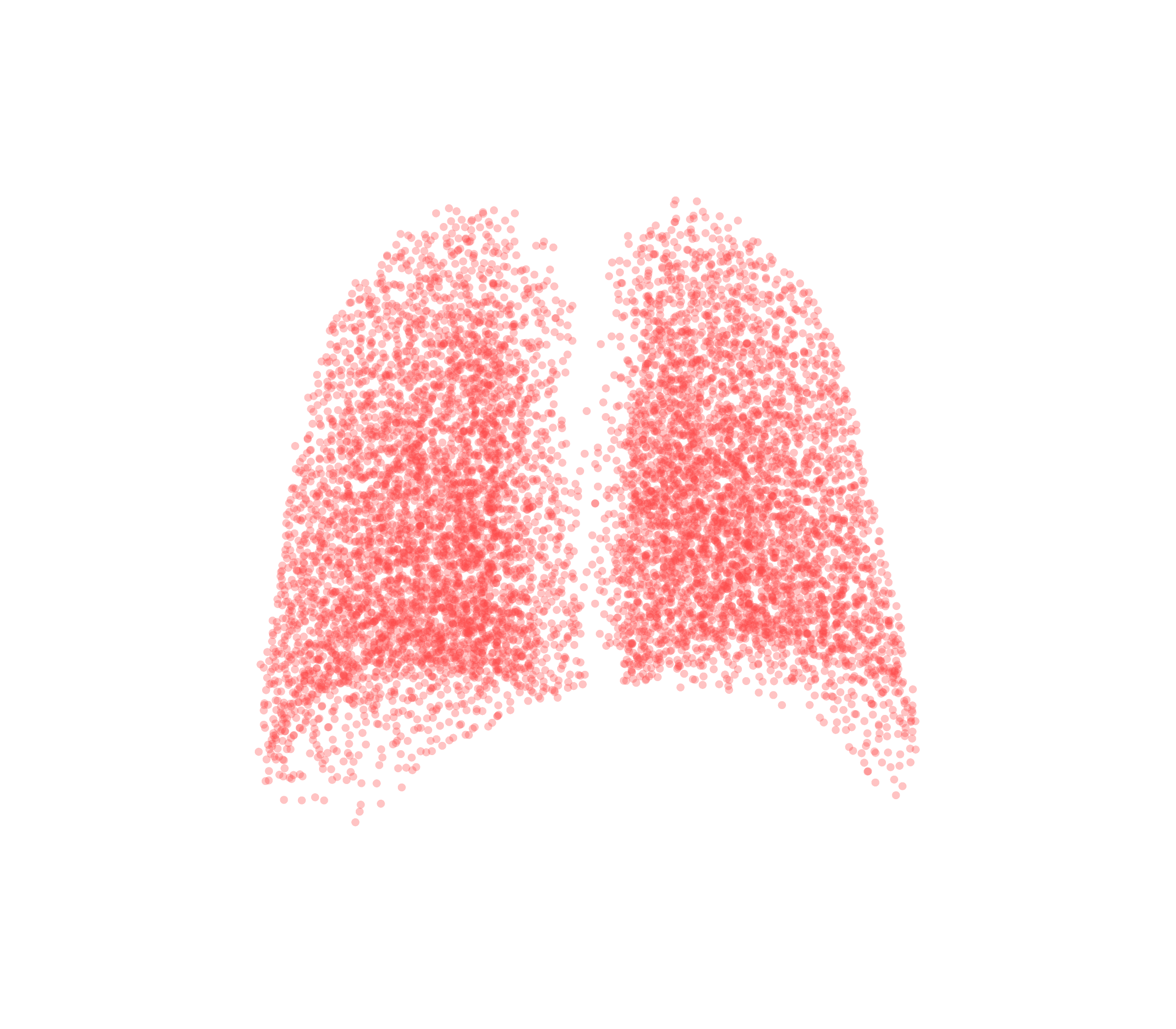 Point Cloud (Expiration) - Back View