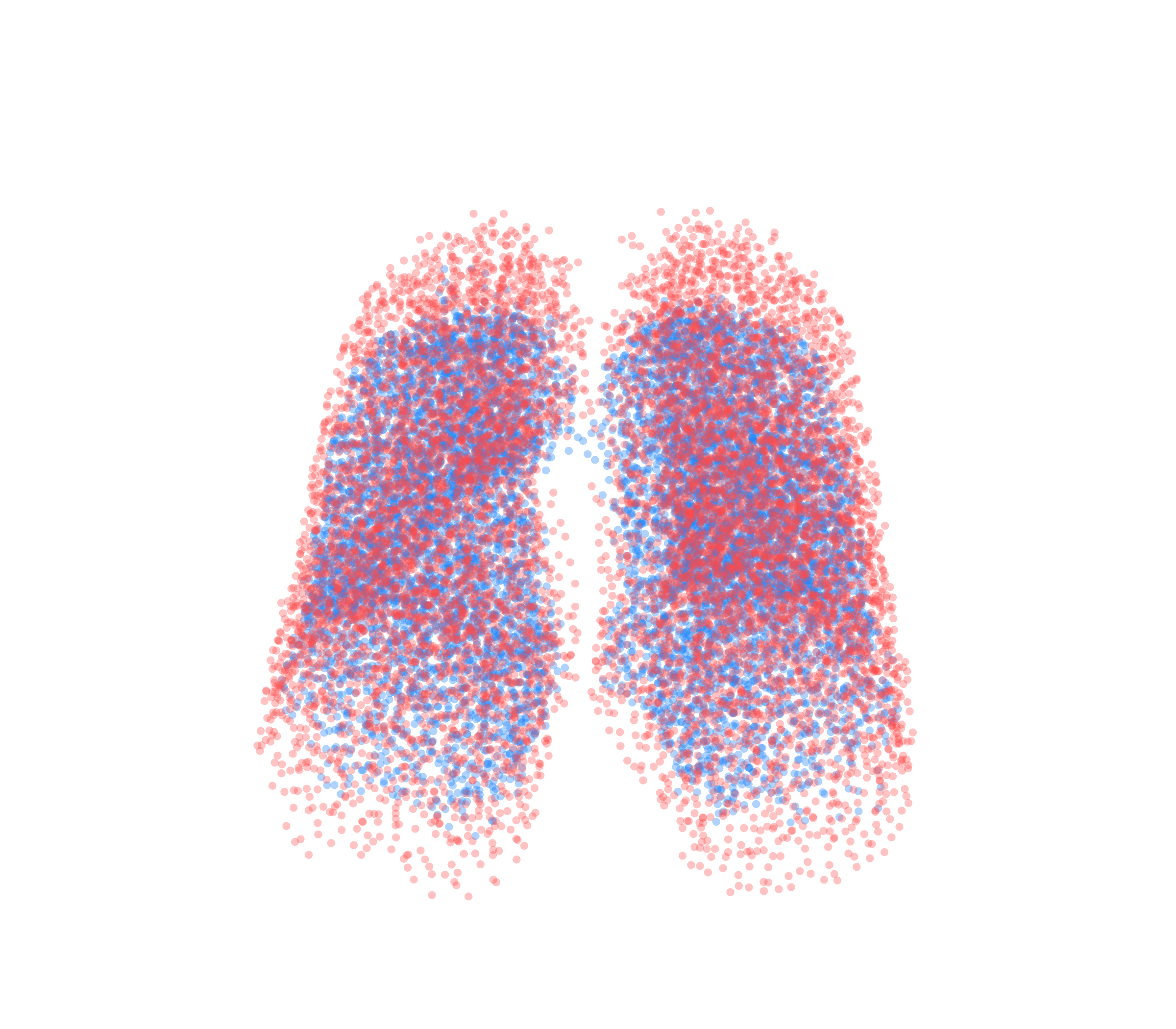 Point Cloud - Front View