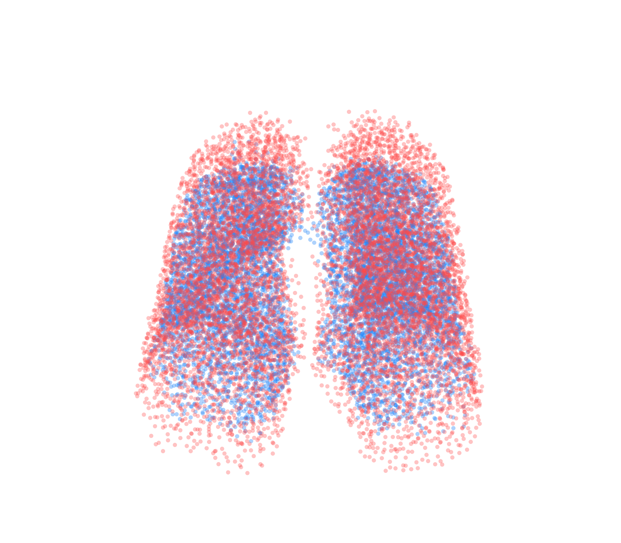 Point Cloud - Front View