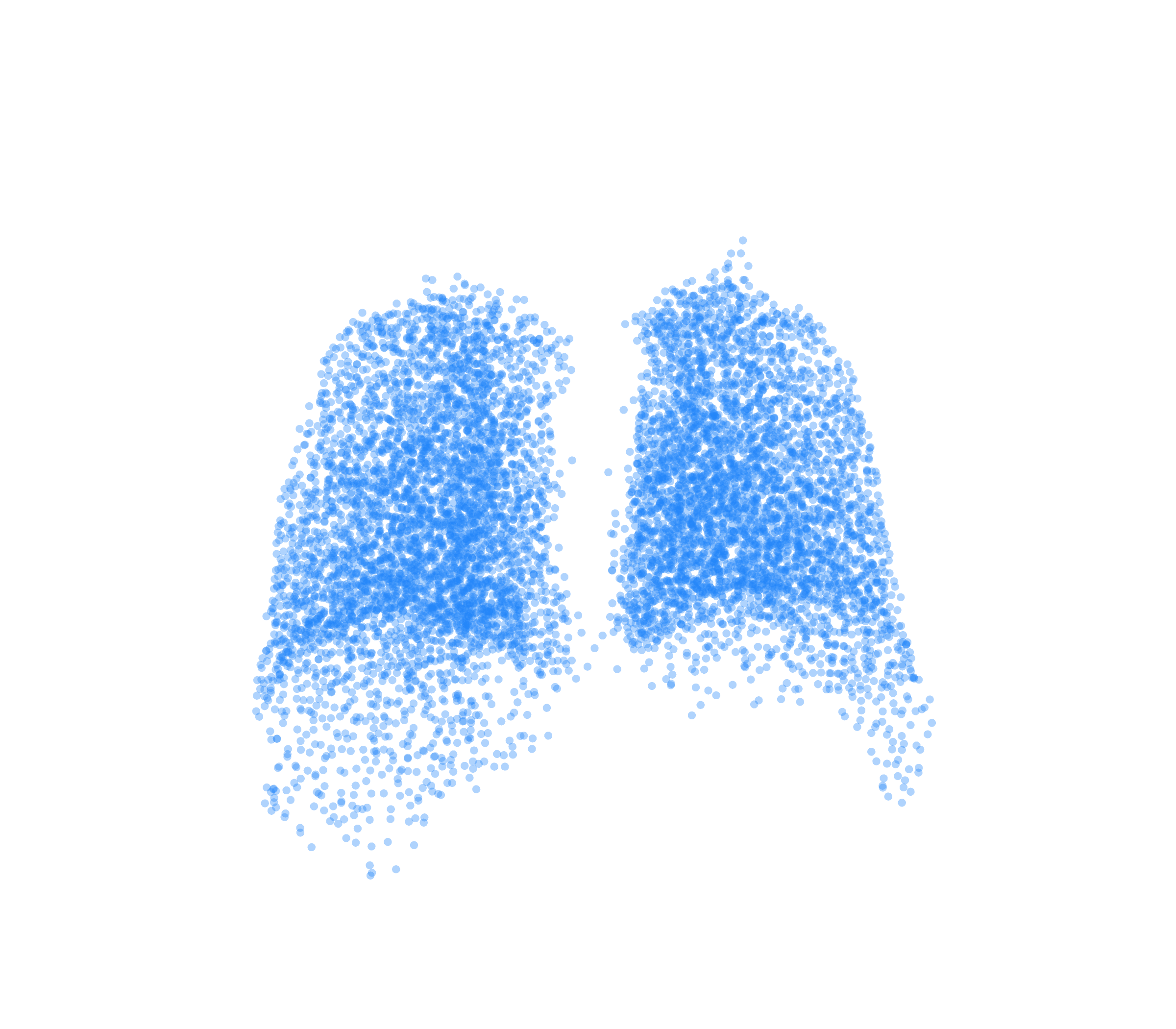 Point Cloud (Inspiration) - Back View