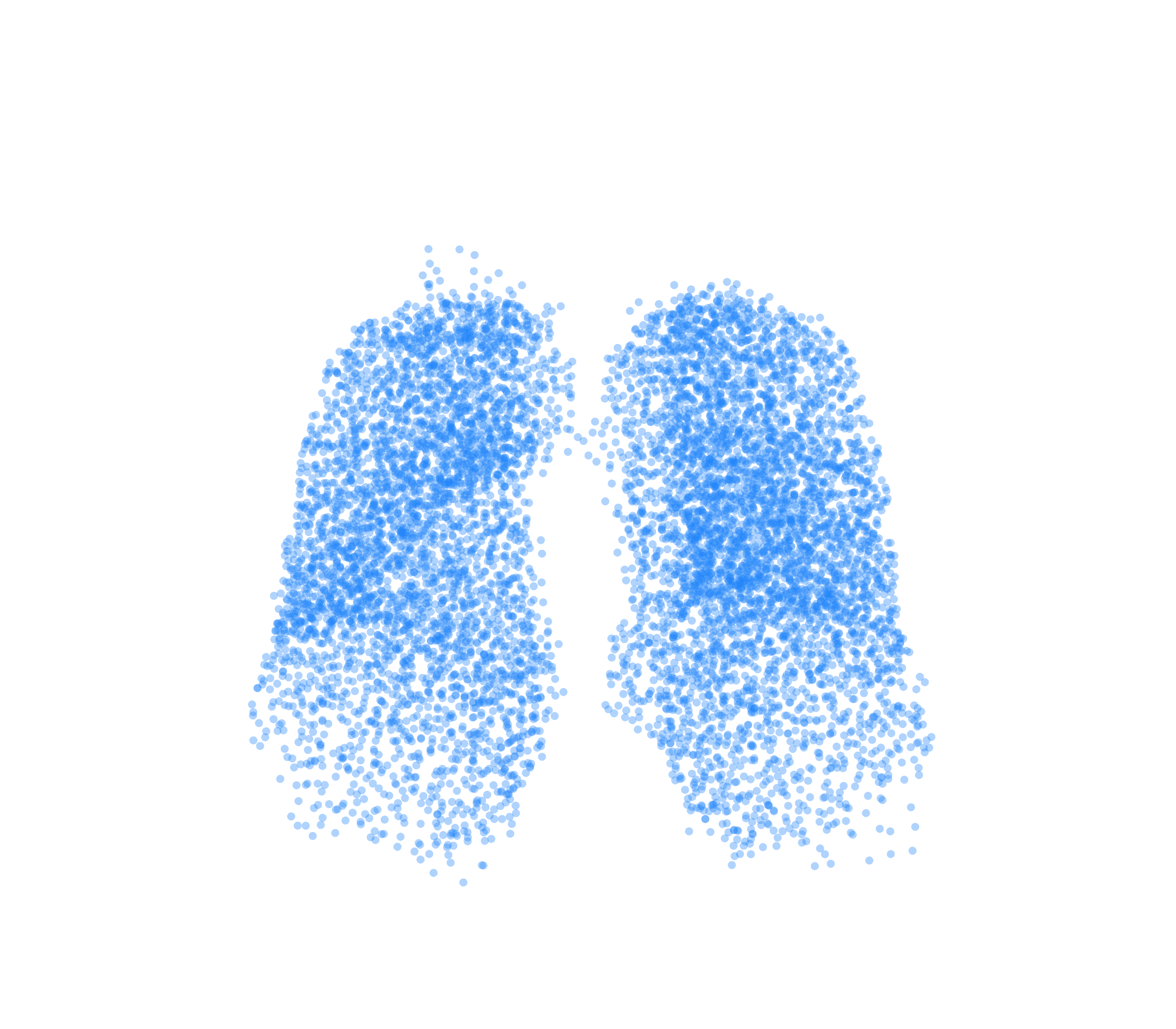 Point Cloud (Inspiration) - Front View