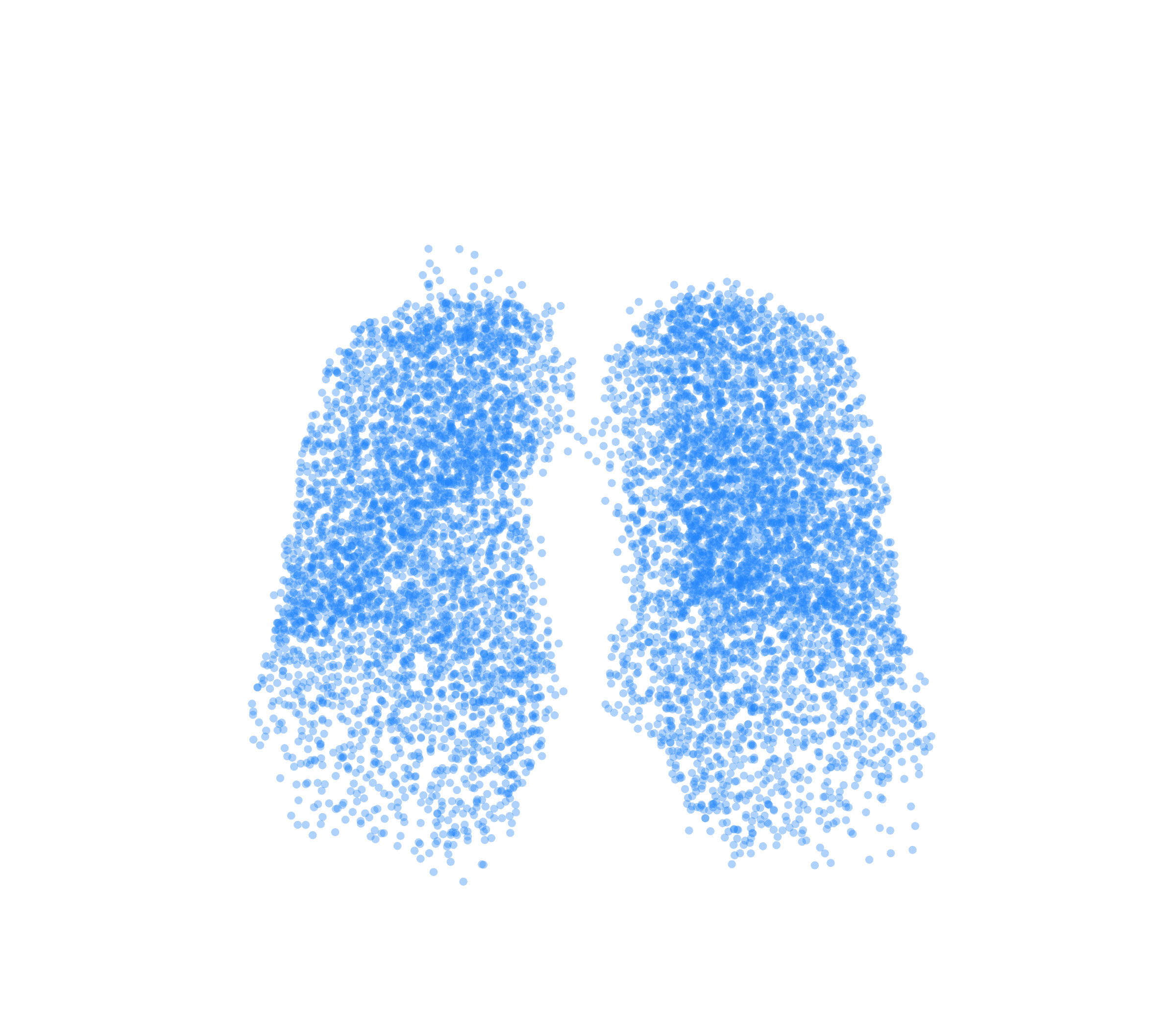 Point Cloud (Inspiration) - Front View