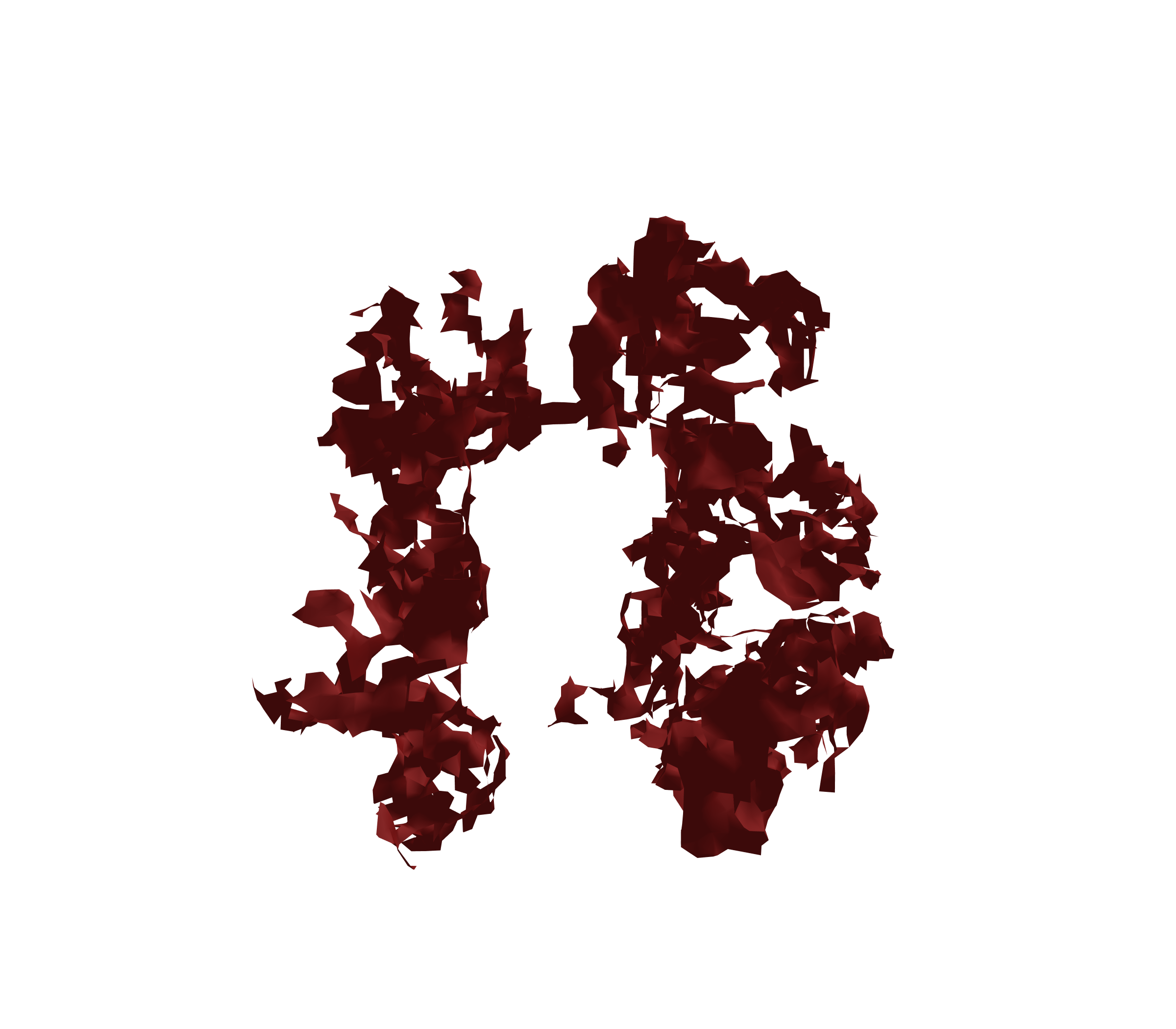 Surface Mesh (Expiration) - Front View