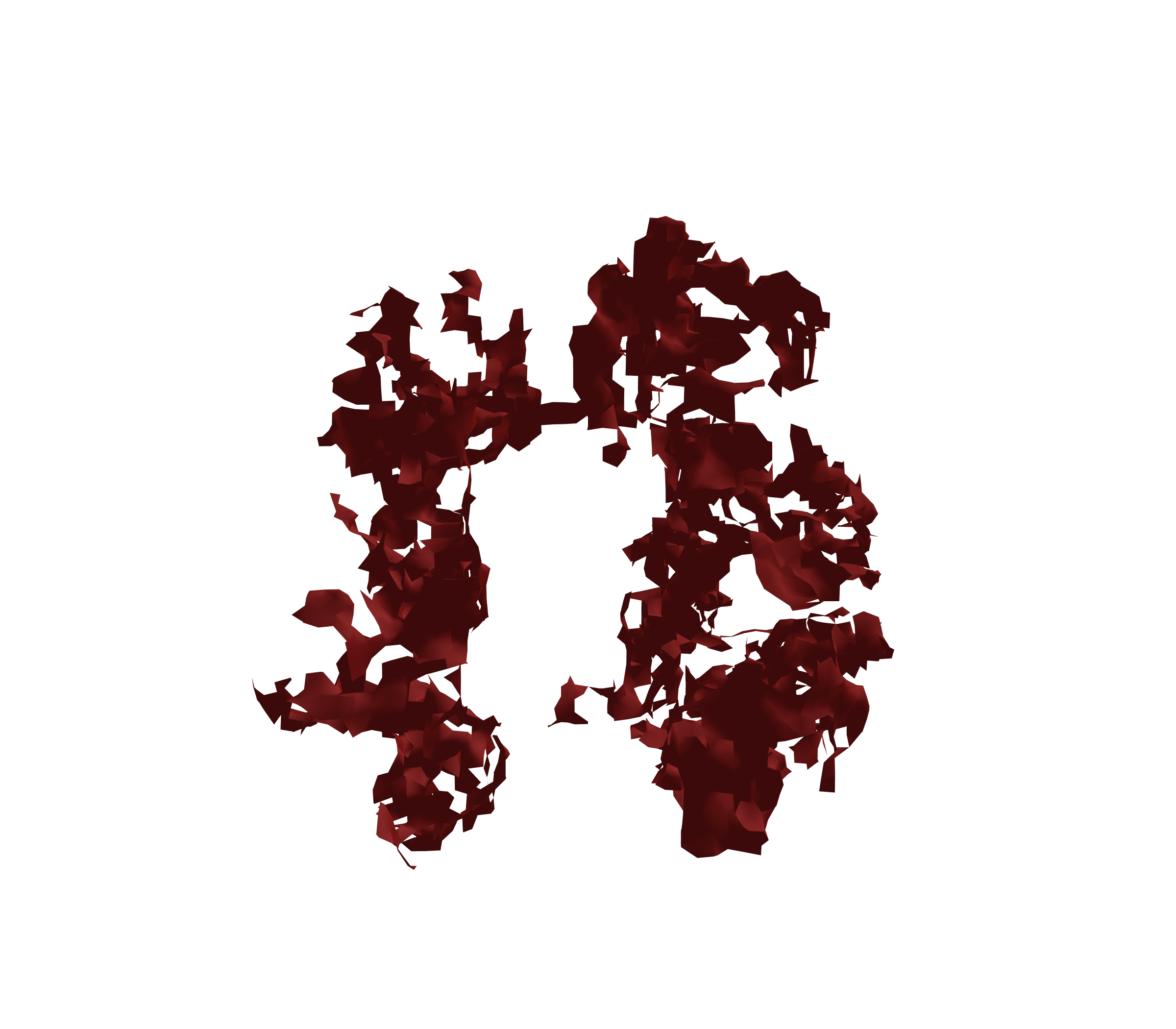 Surface Mesh (Expiration) - Front View