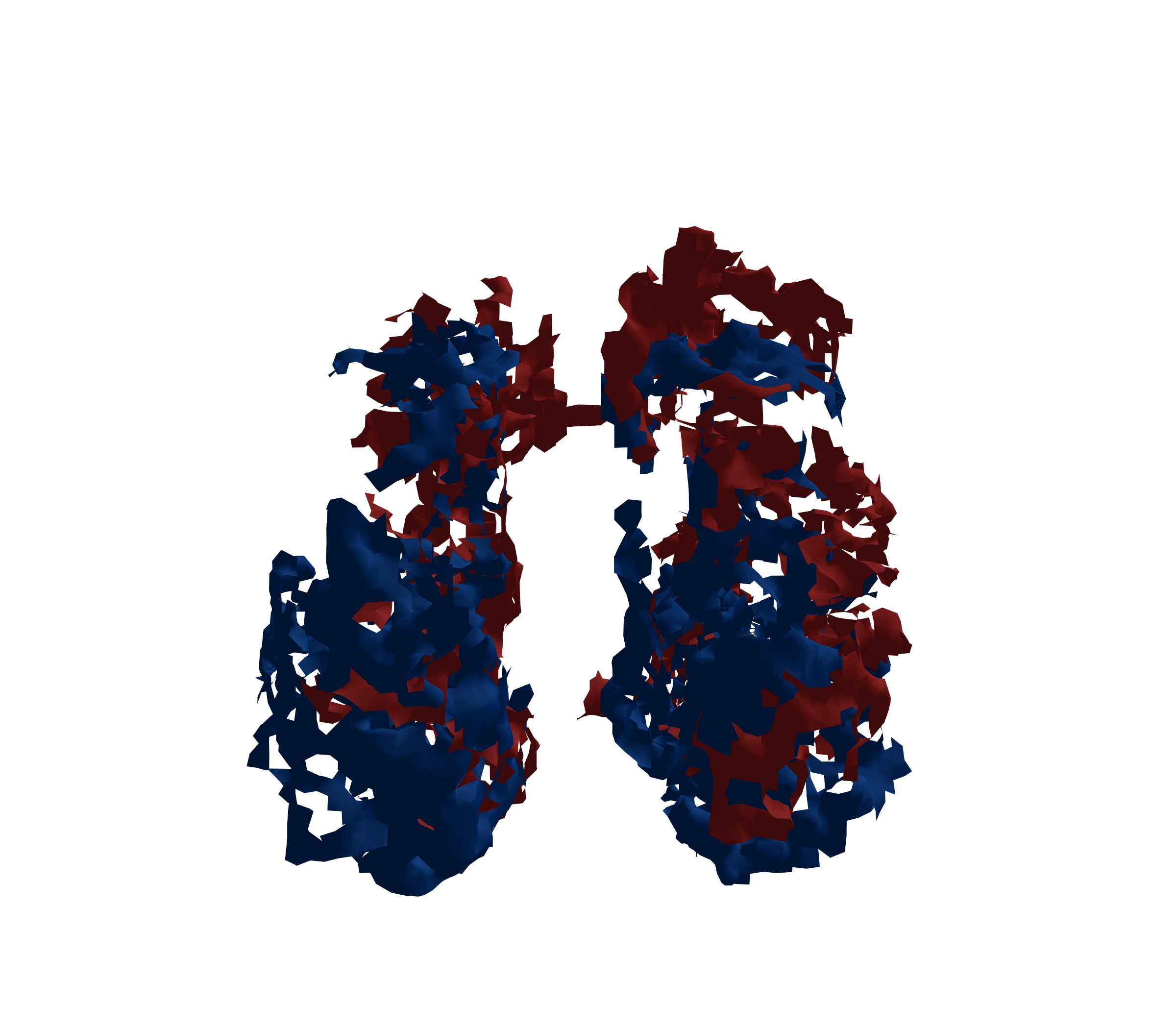 Surface Mesh - Front View