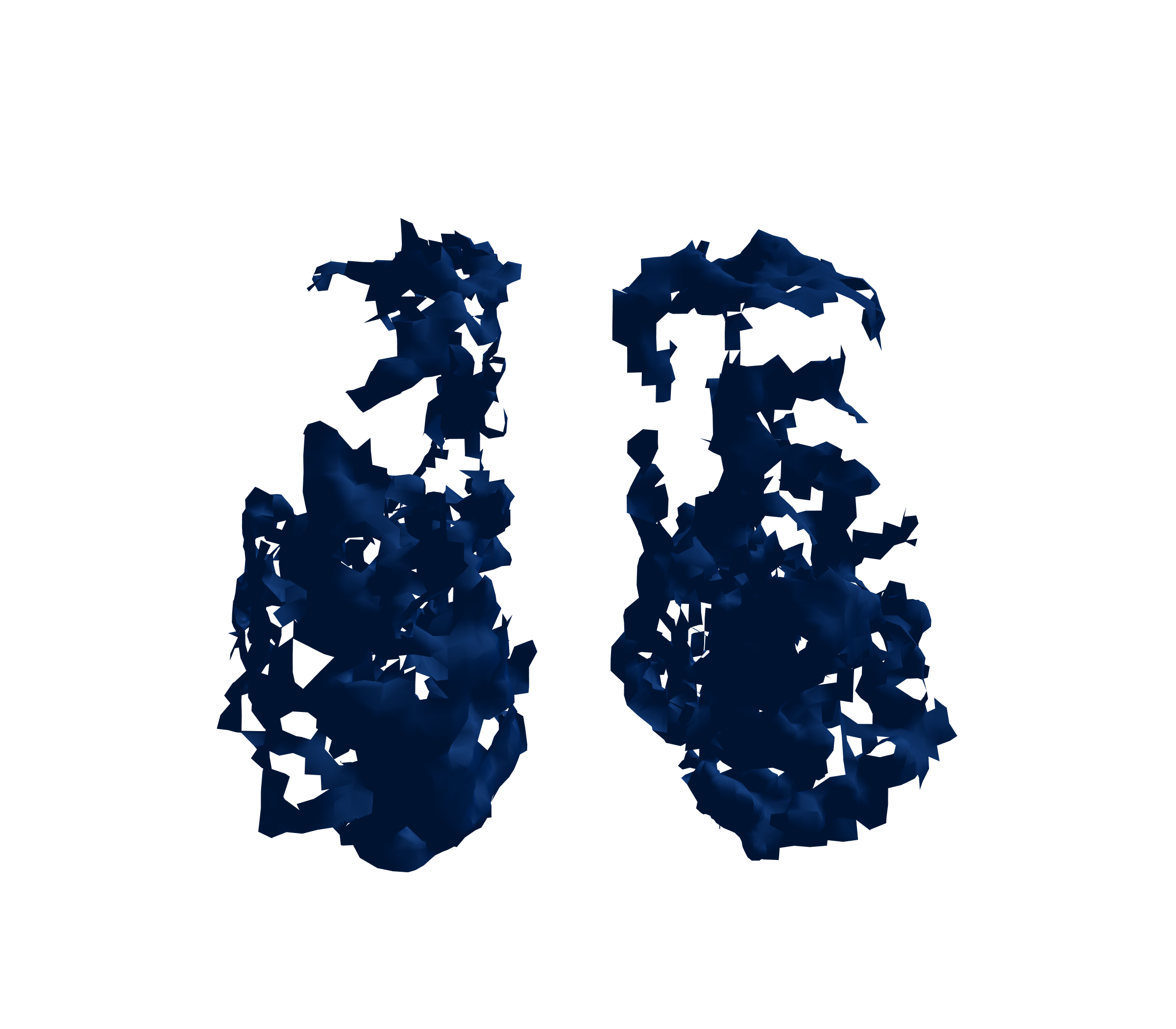 Surface Mesh (Inspiration) - Front View