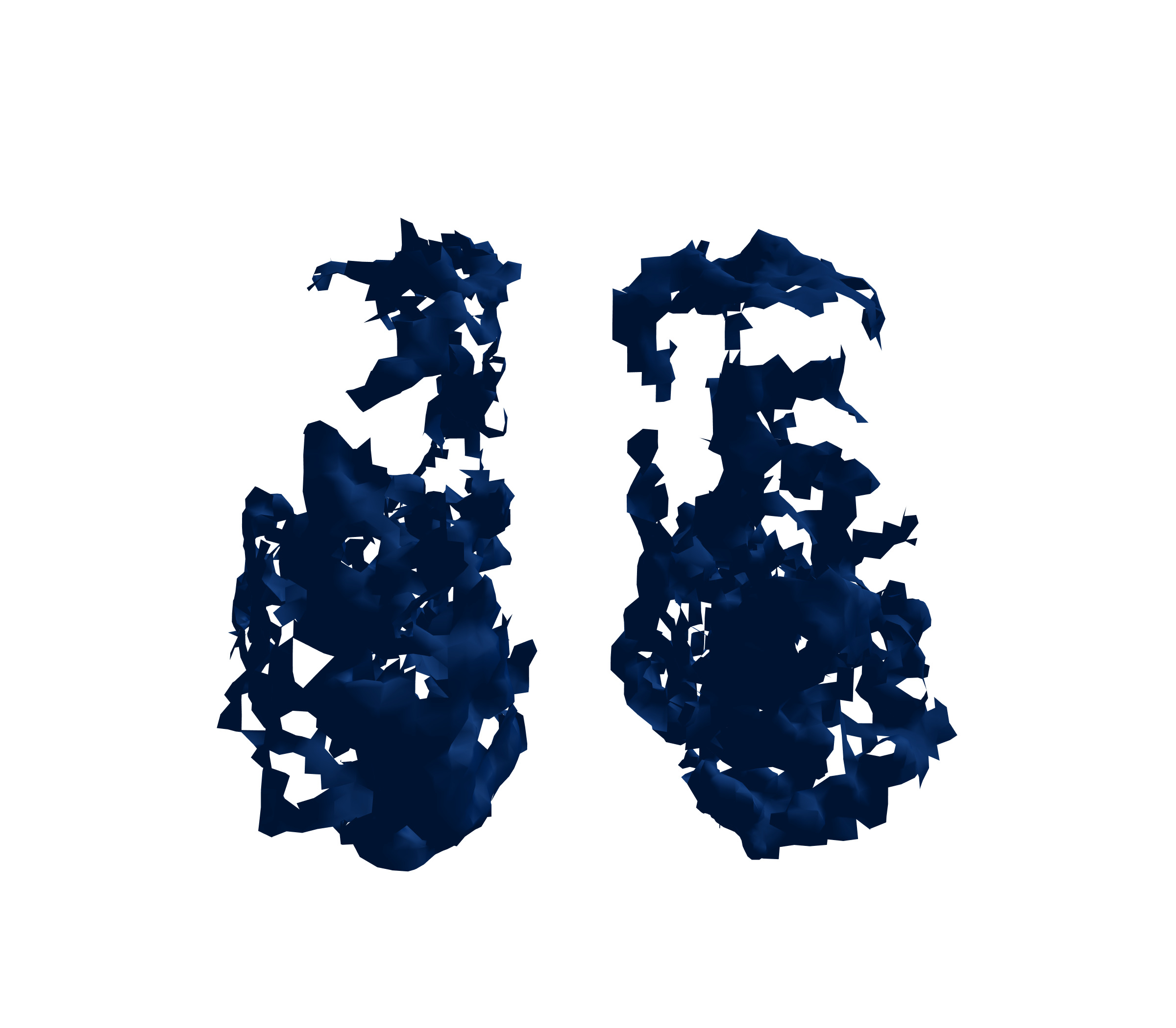 Surface Mesh (Inspiration) - Front View