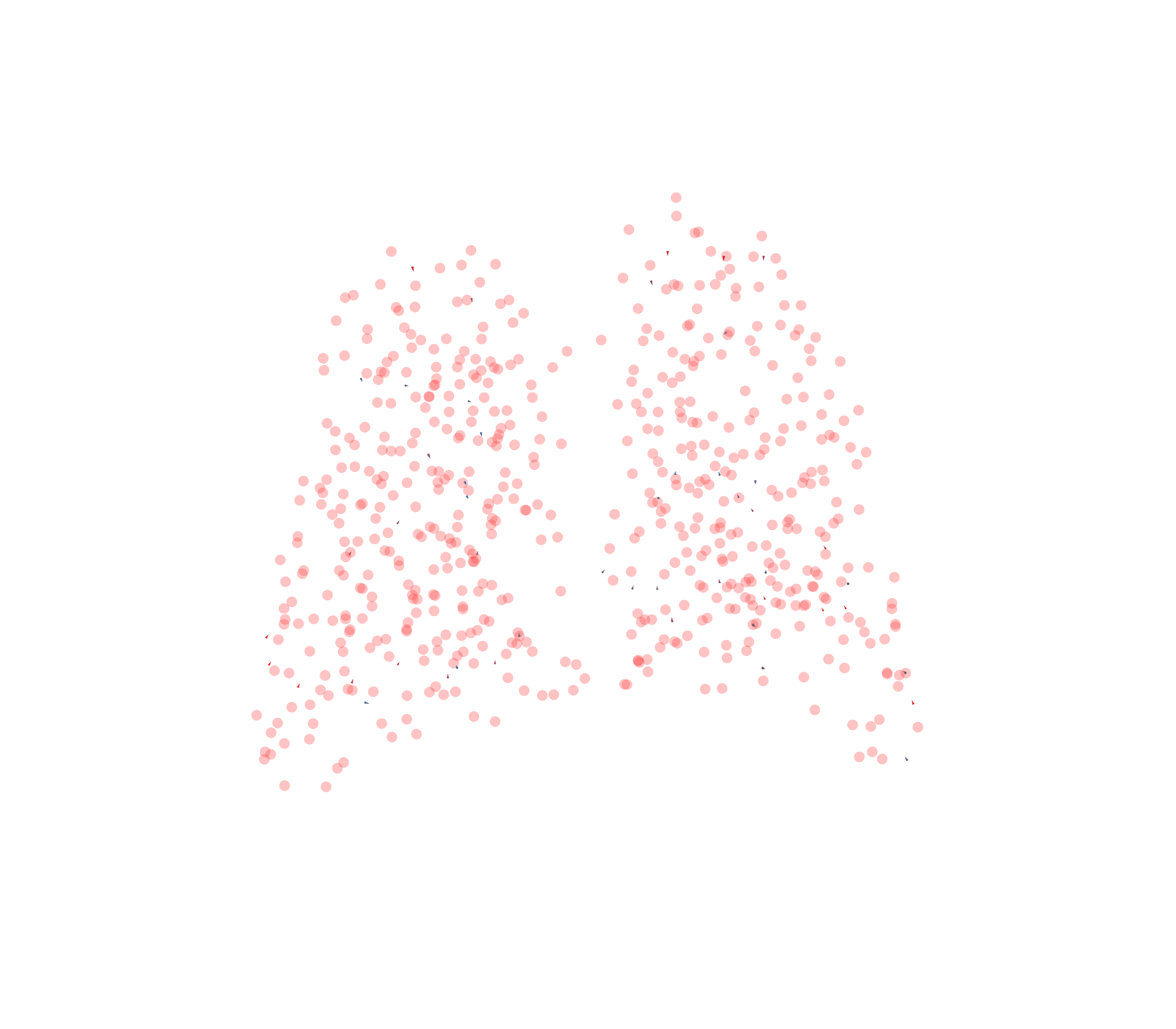 Displacement Vectors - Back View