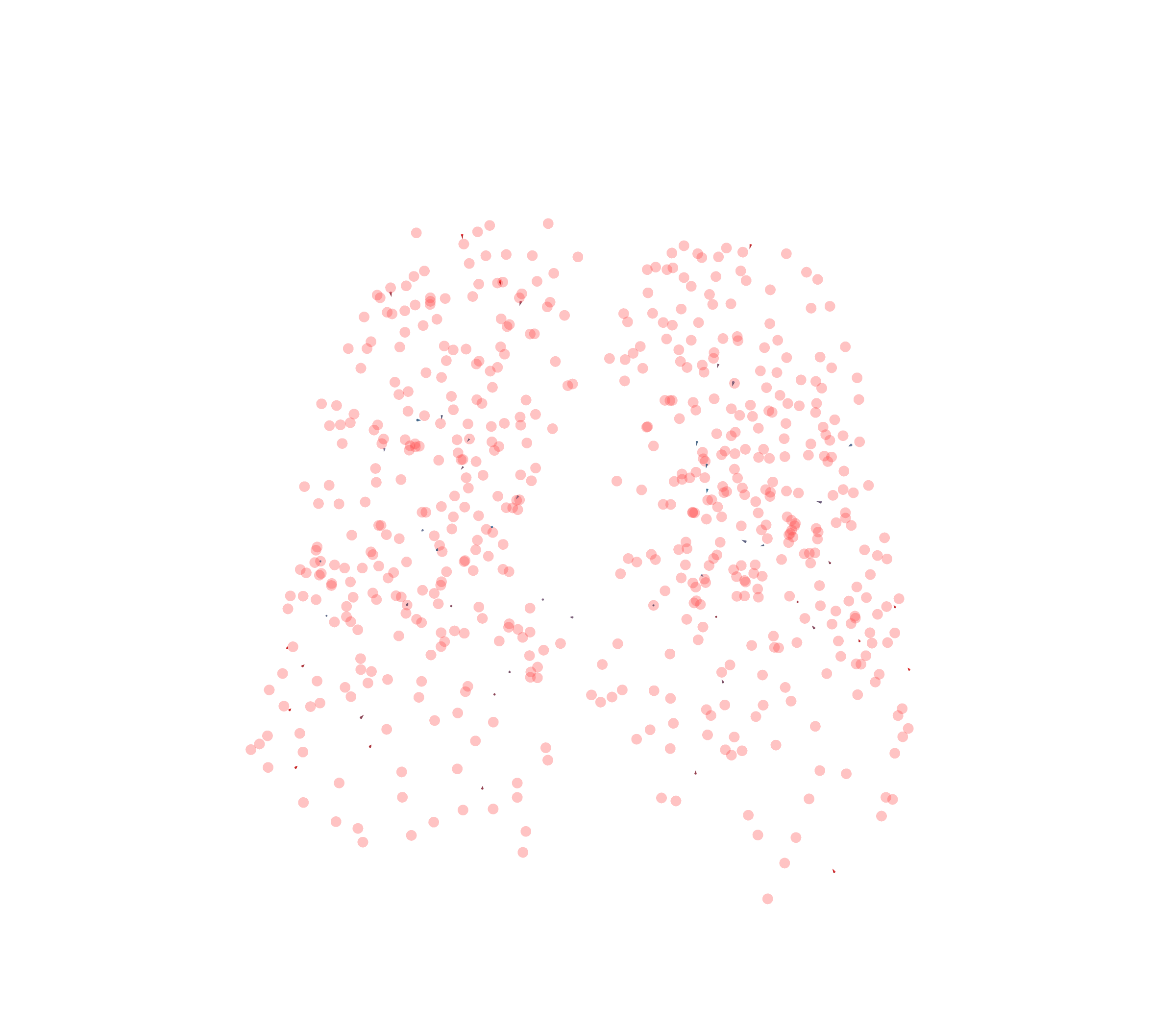 Displacement Vectors - Front View