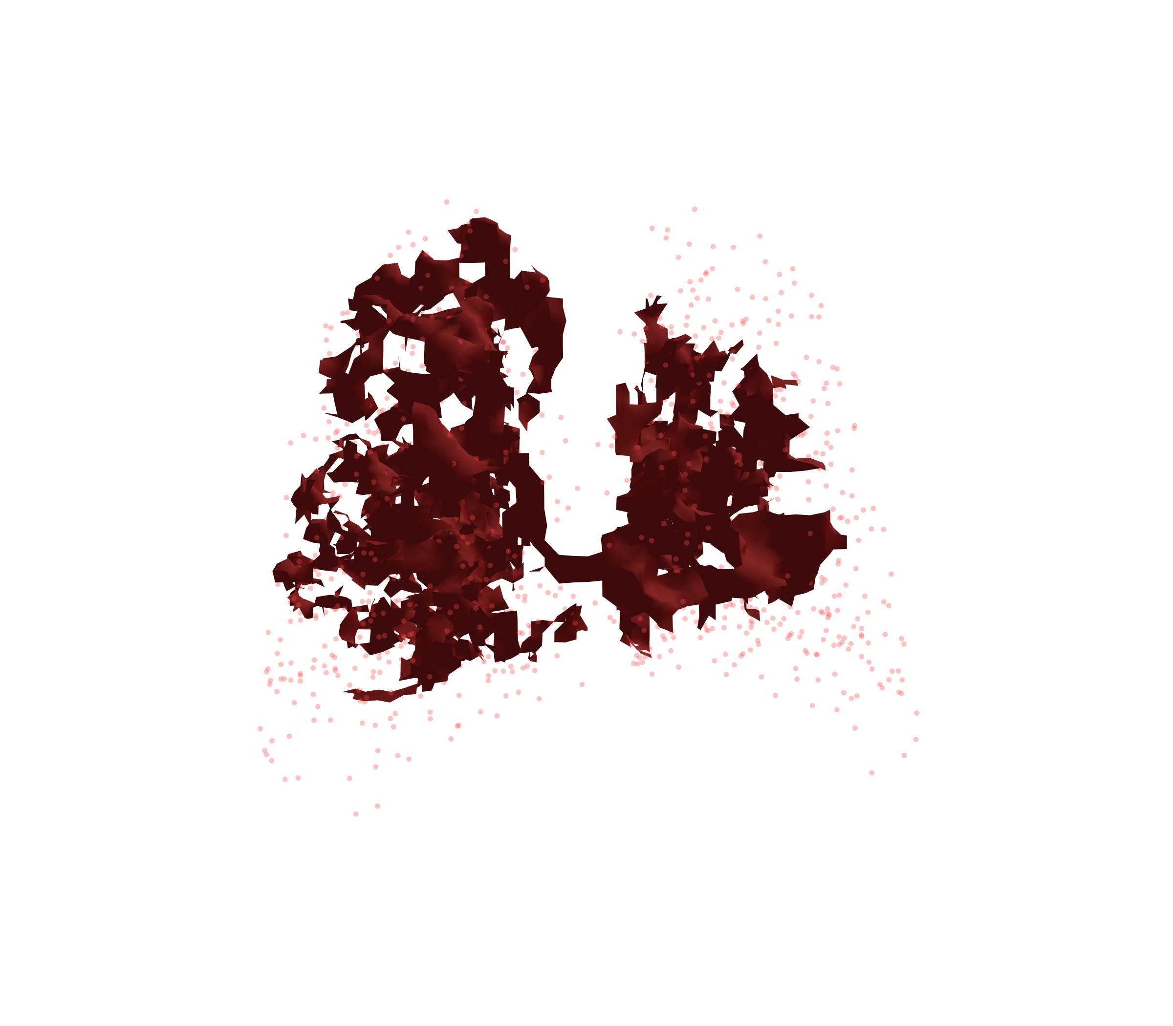 Combined Visualization (Expiration) - Back View