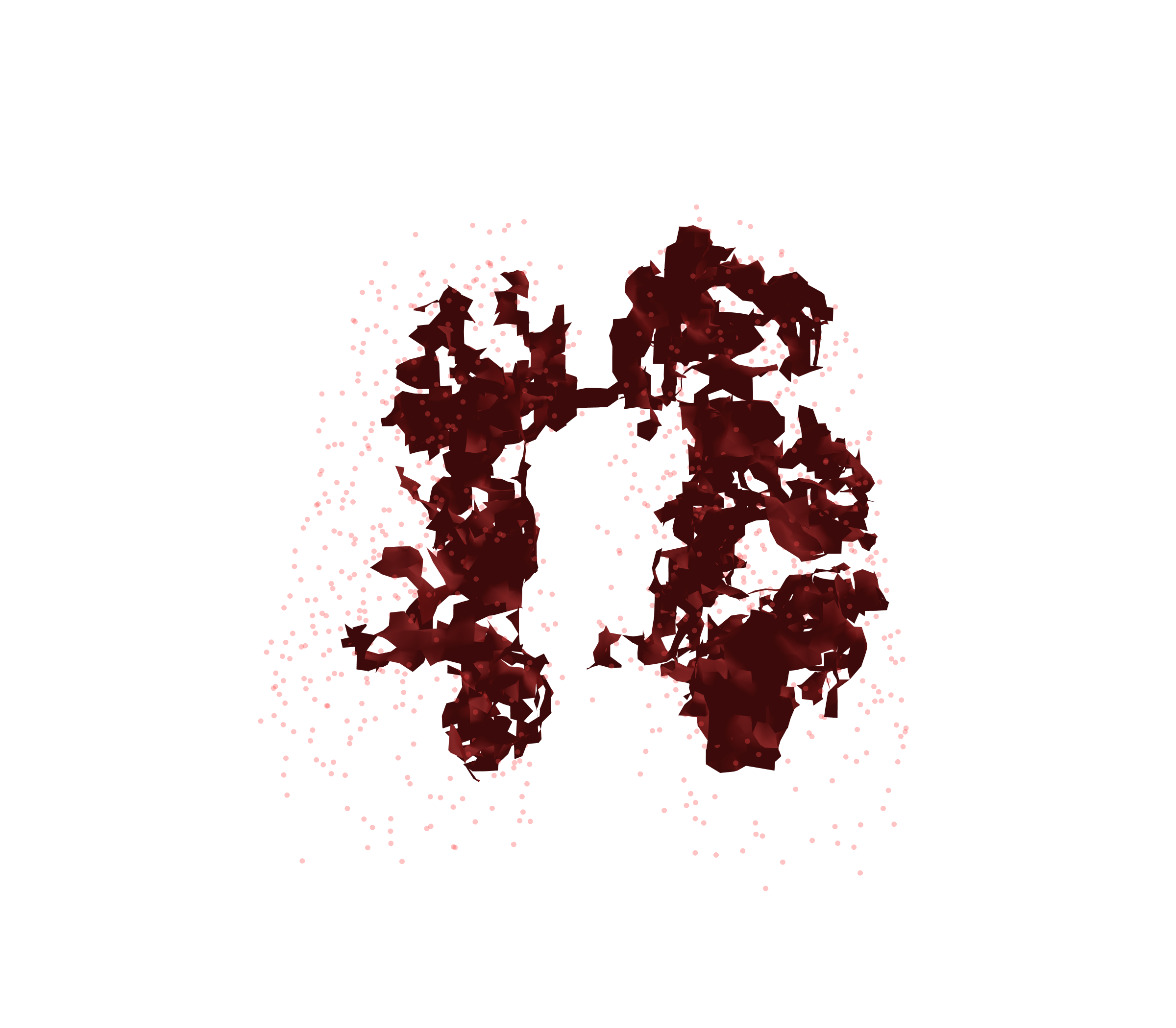 Combined Visualization (Expiration) - Front View