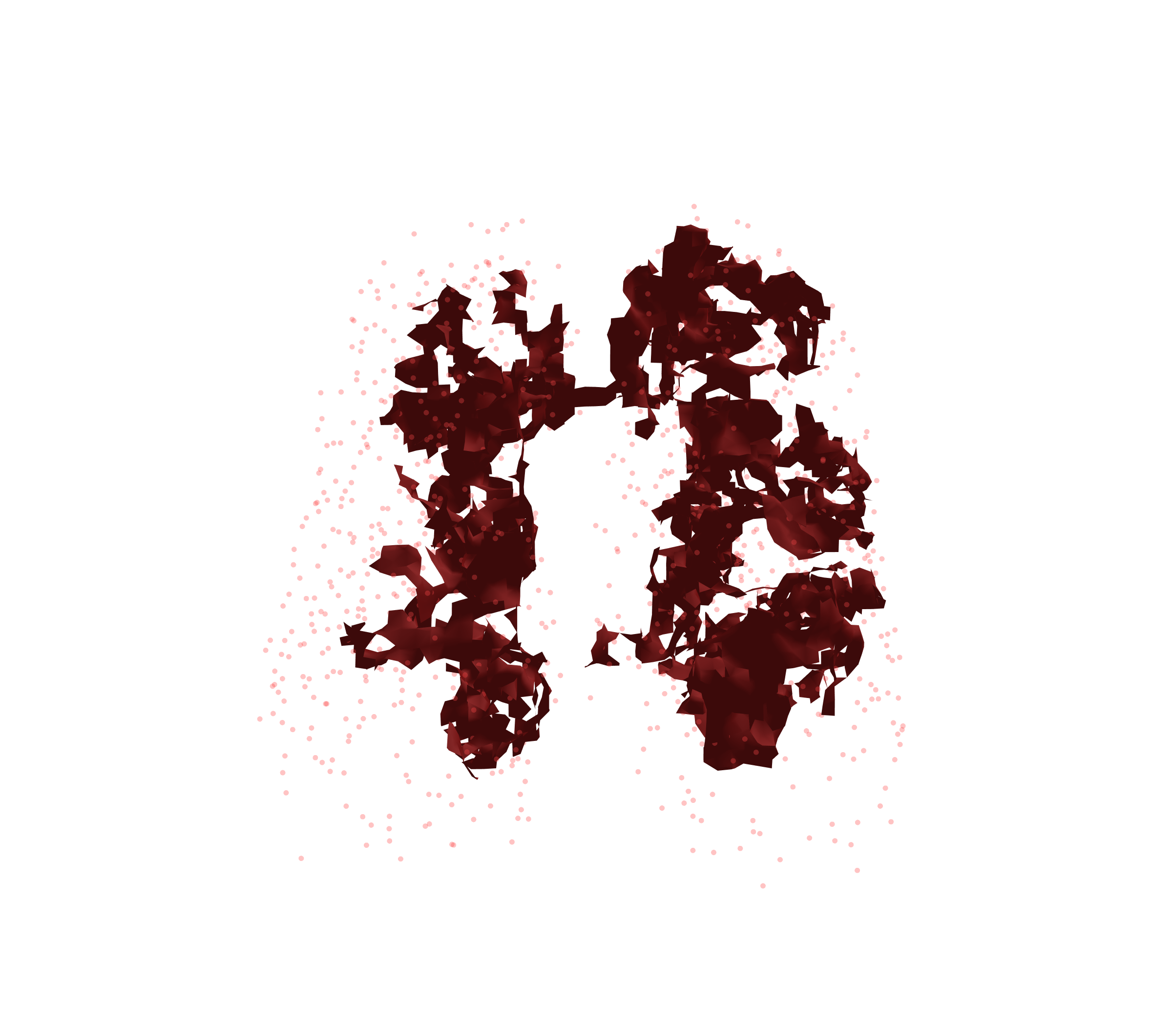 Combined Visualization (Expiration) - Front View