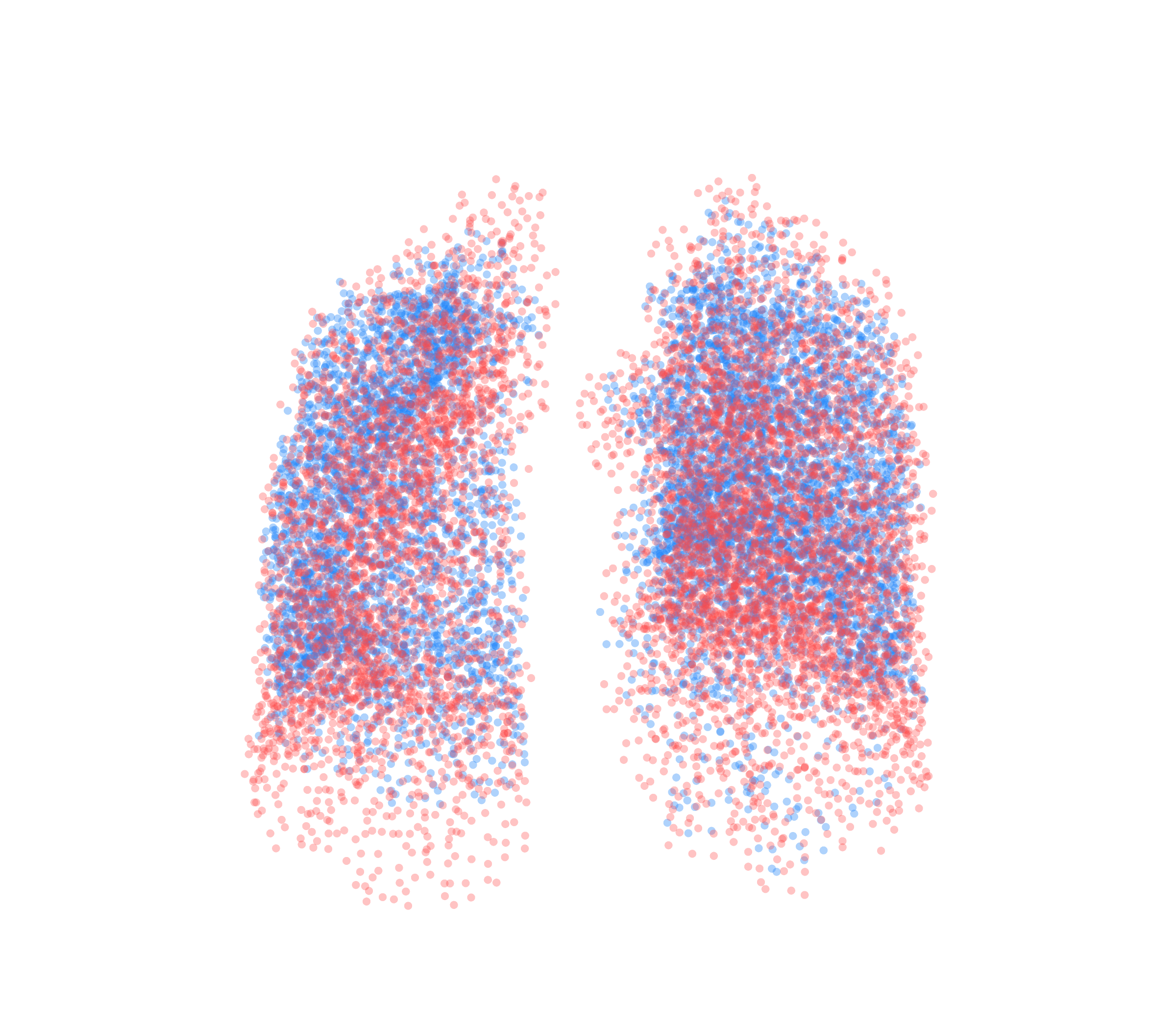 Point Cloud - Front View