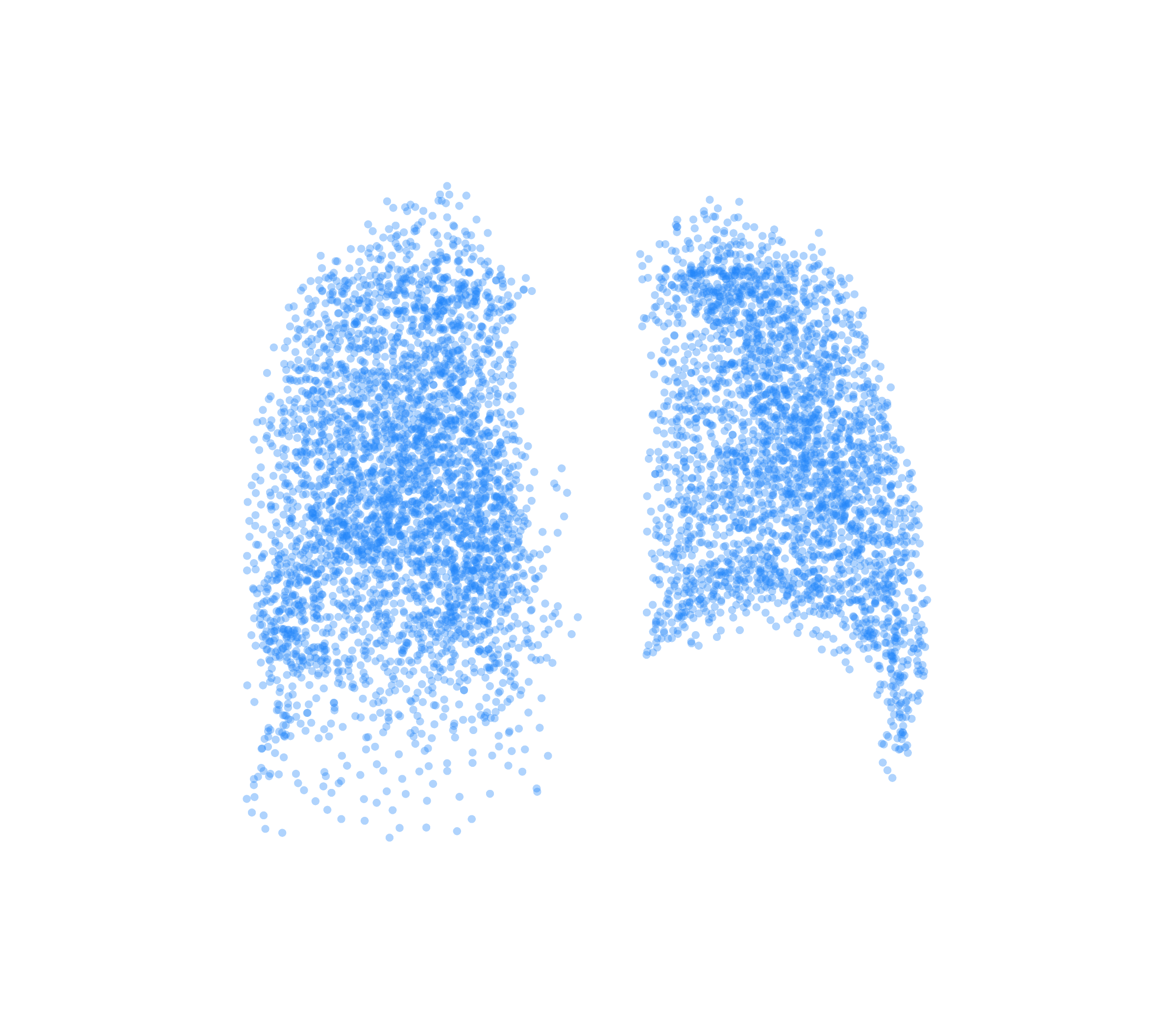 Point Cloud (Inspiration) - Back View