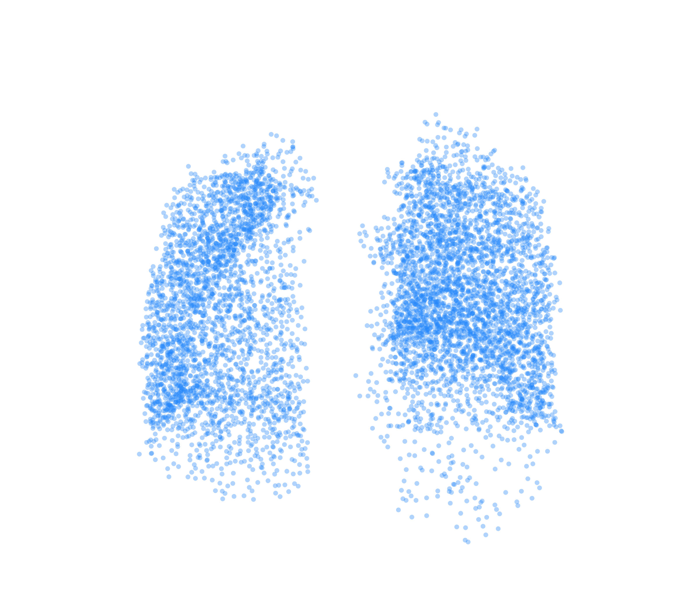 Point Cloud (Inspiration) - Front View