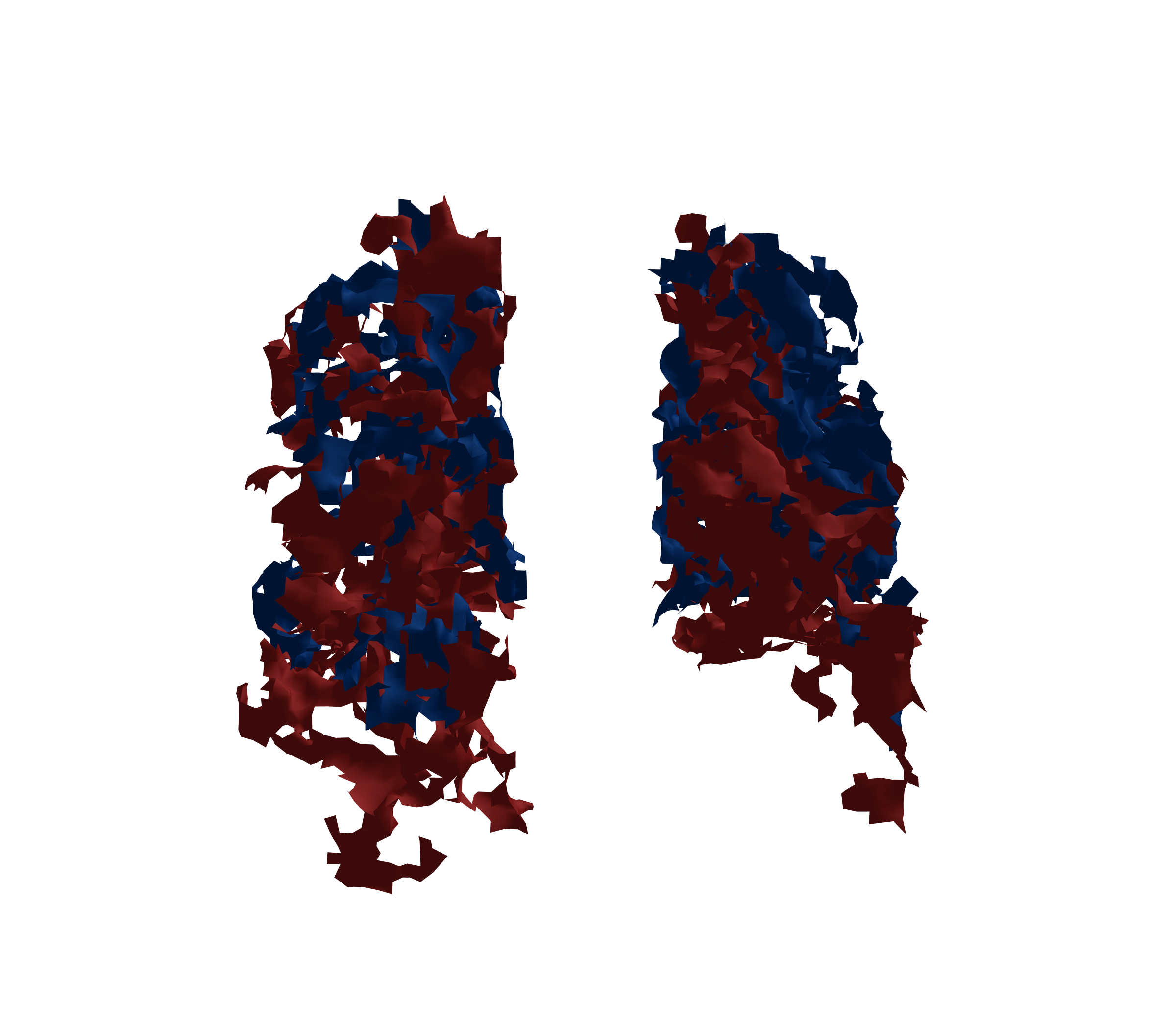 Surface Mesh - Back View