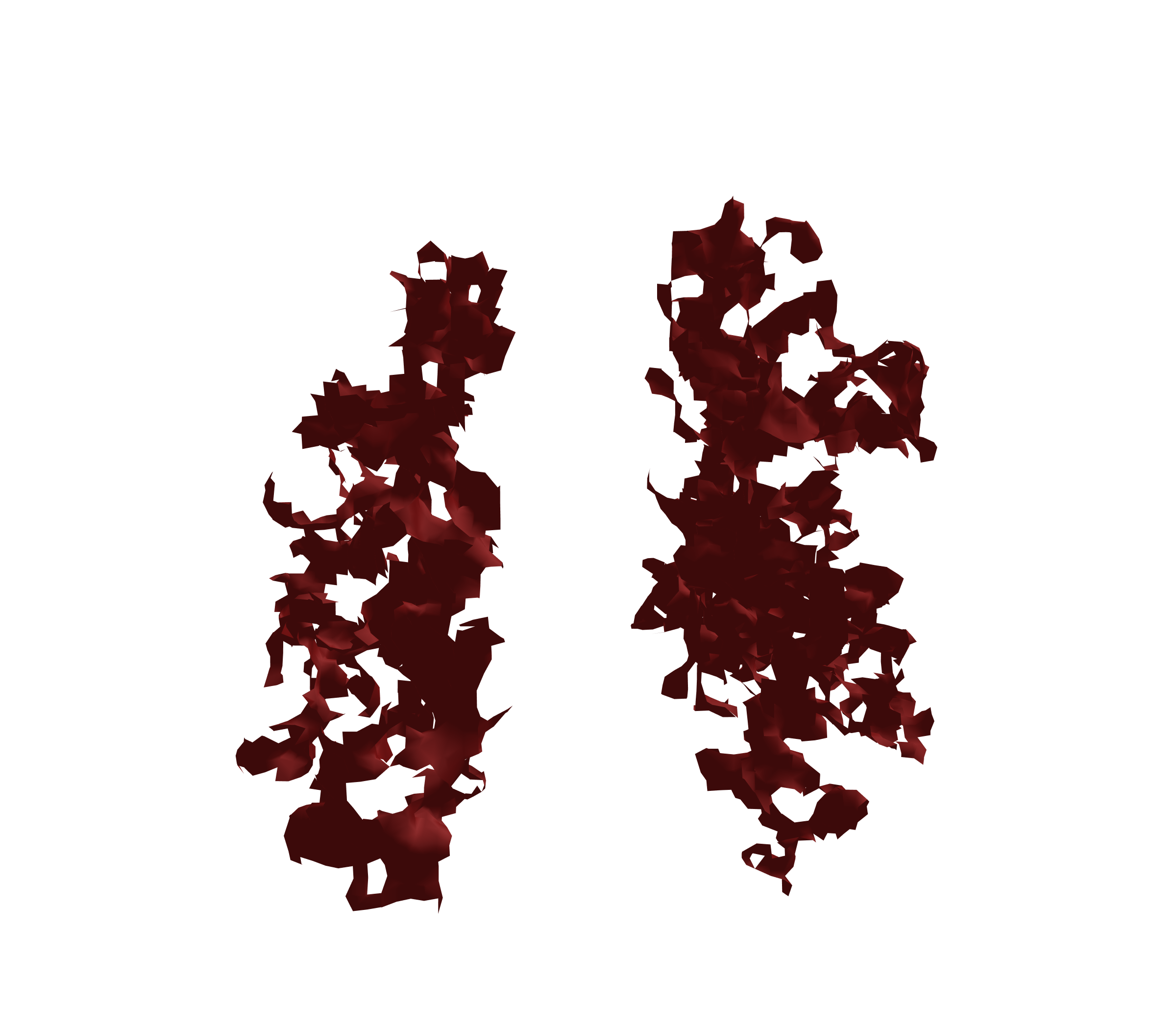 Surface Mesh (Expiration) - Front View