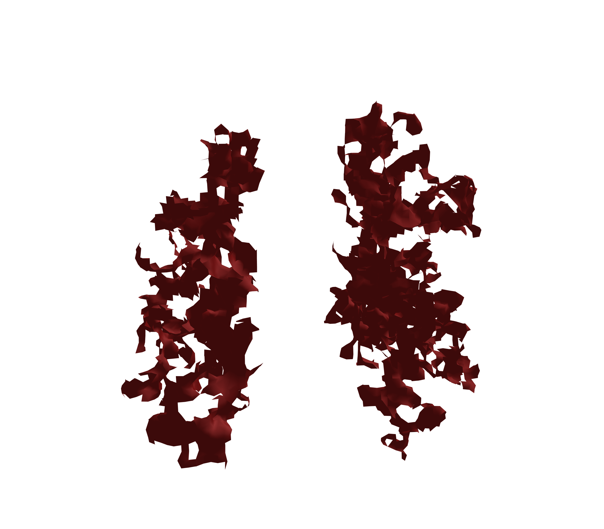 Surface Mesh (Expiration) - Front View