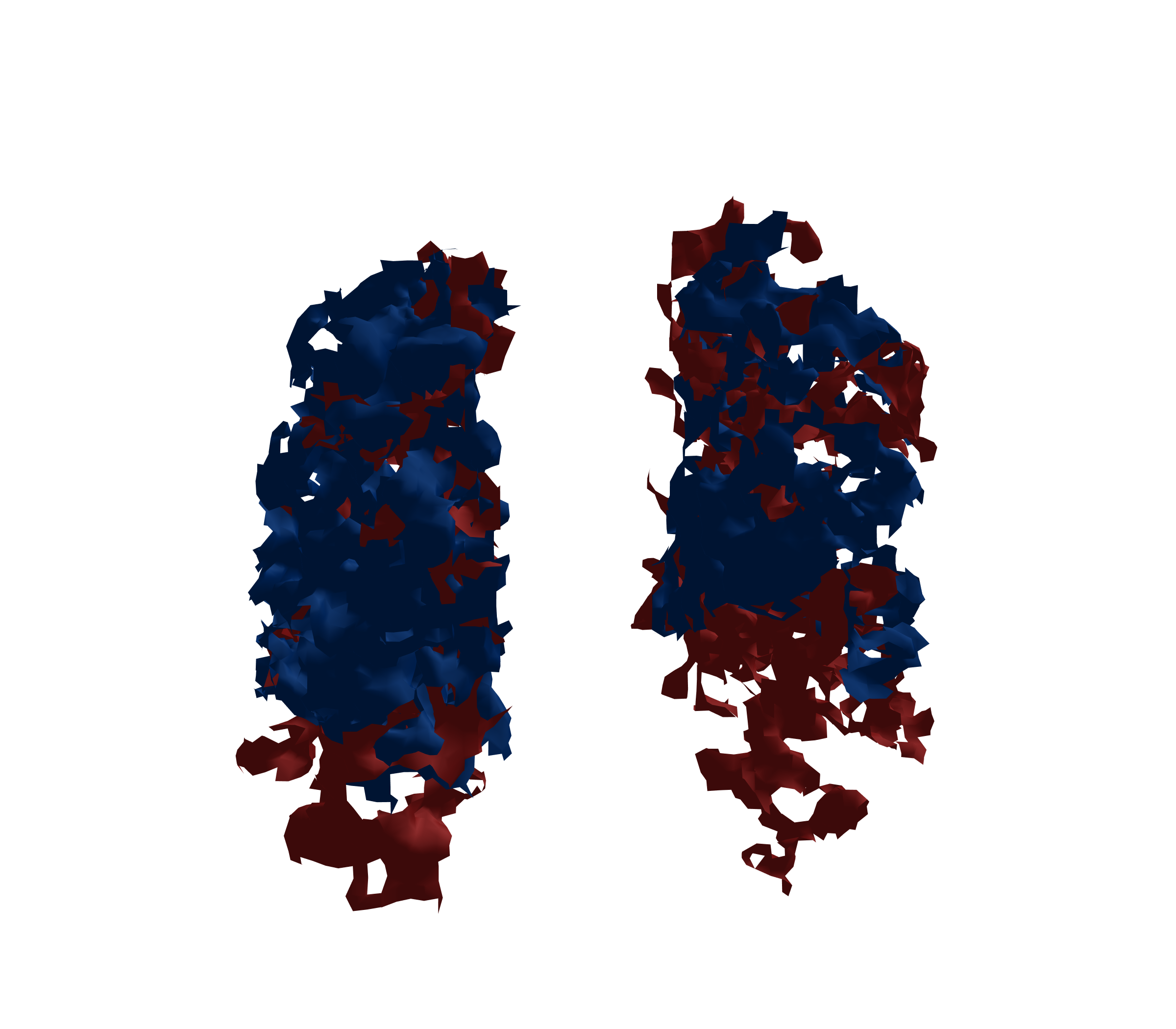 Surface Mesh - Front View