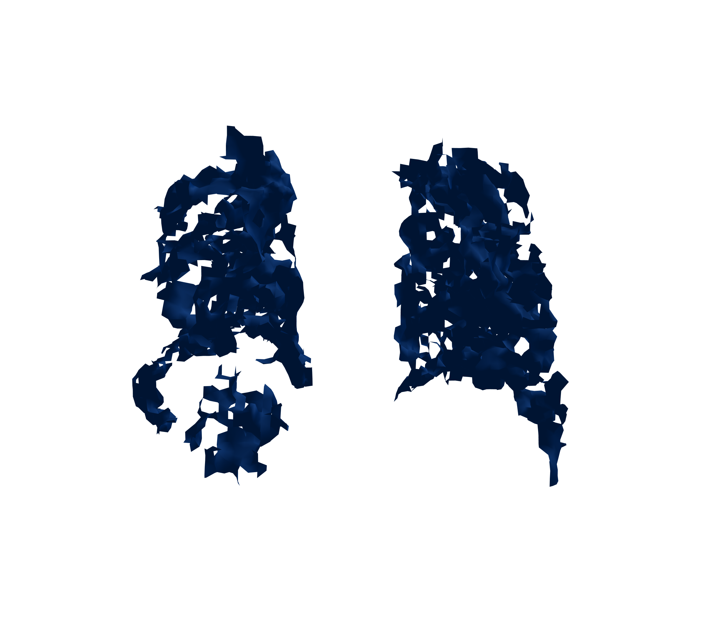 Surface Mesh (Inspiration) - Back View