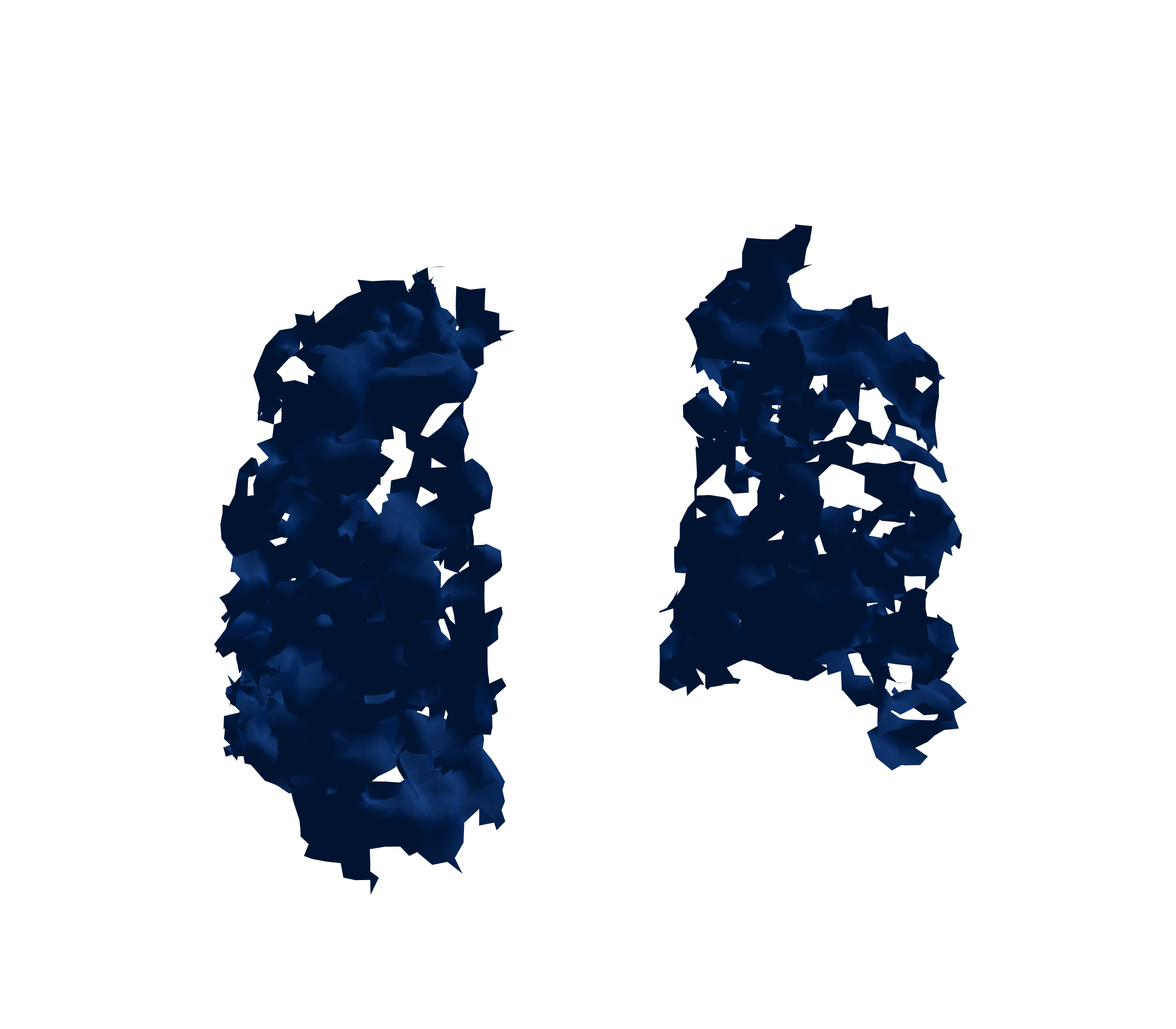 Surface Mesh (Inspiration) - Front View