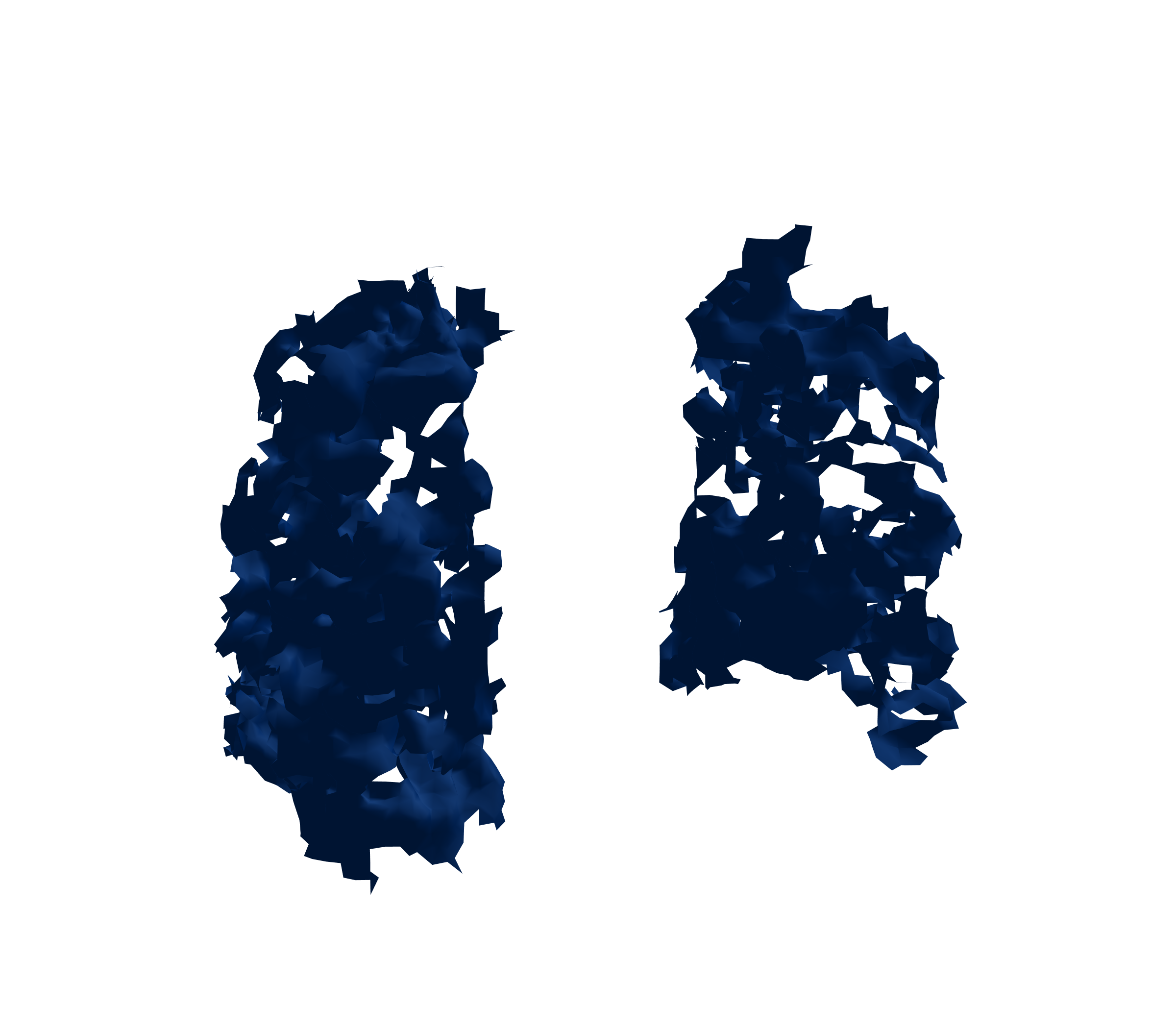 Surface Mesh (Inspiration) - Front View