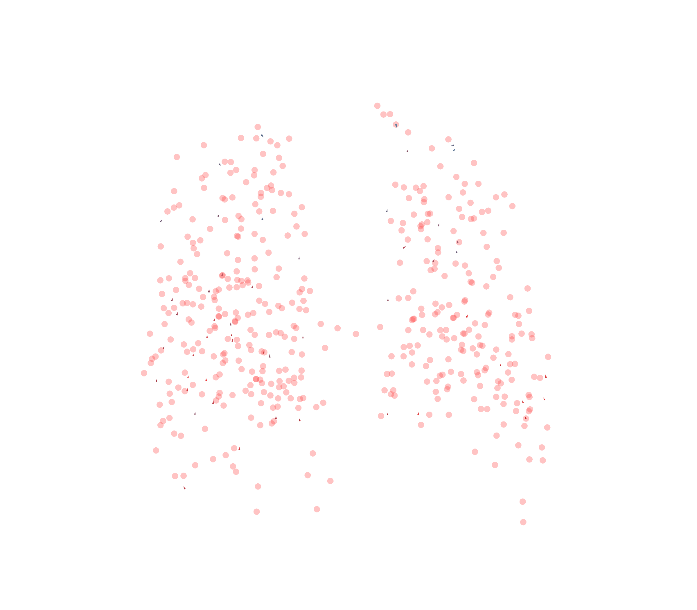 Displacement Vectors - Back View