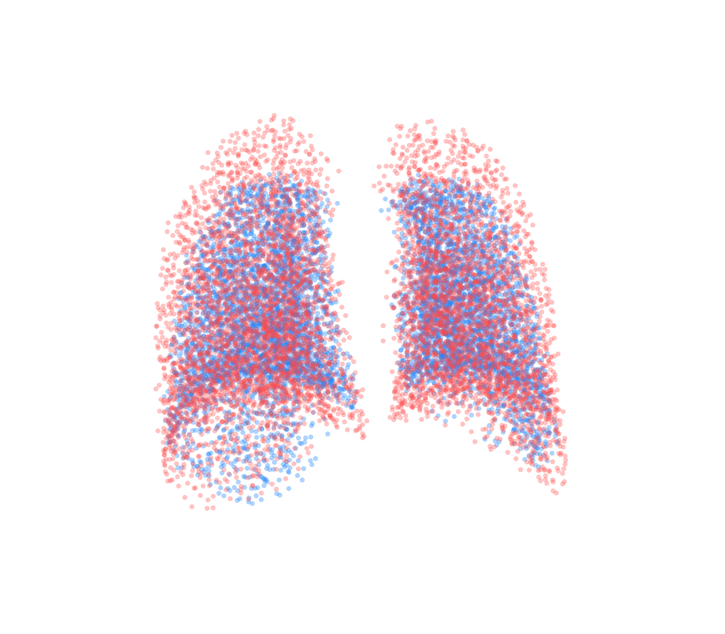 Point Cloud - Back View