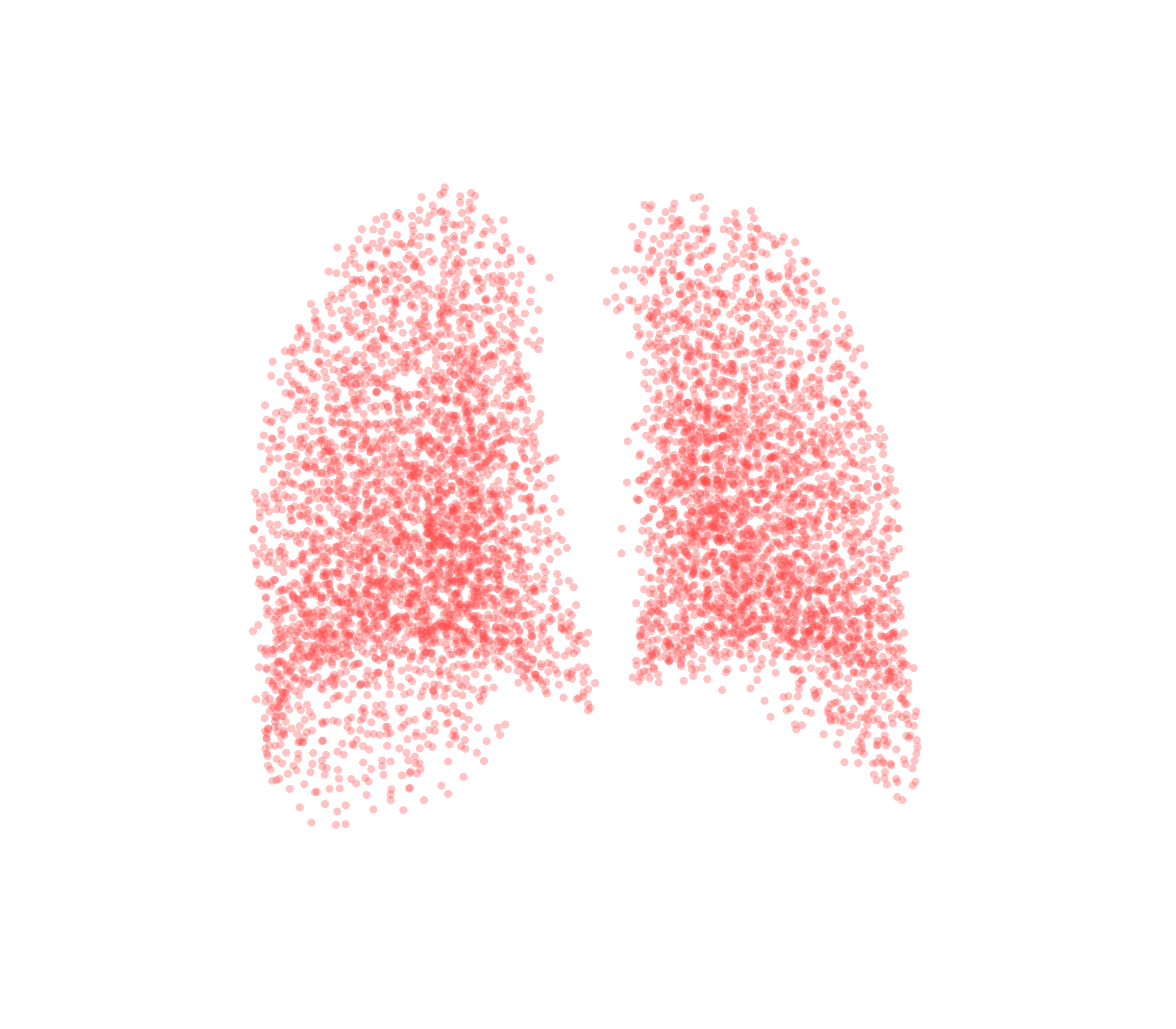 Point Cloud (Expiration) - Back View