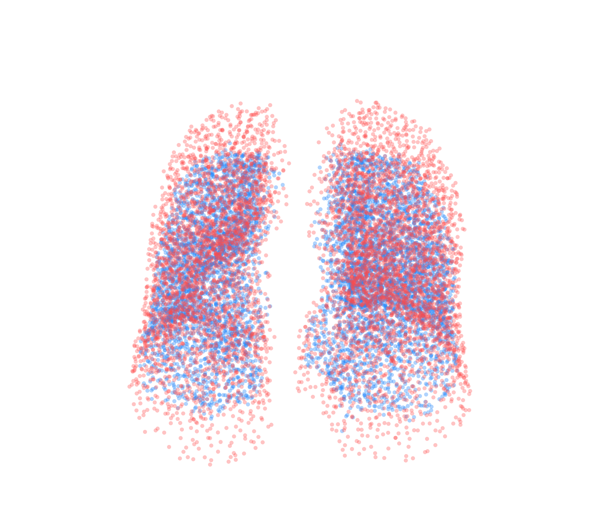 Point Cloud - Front View