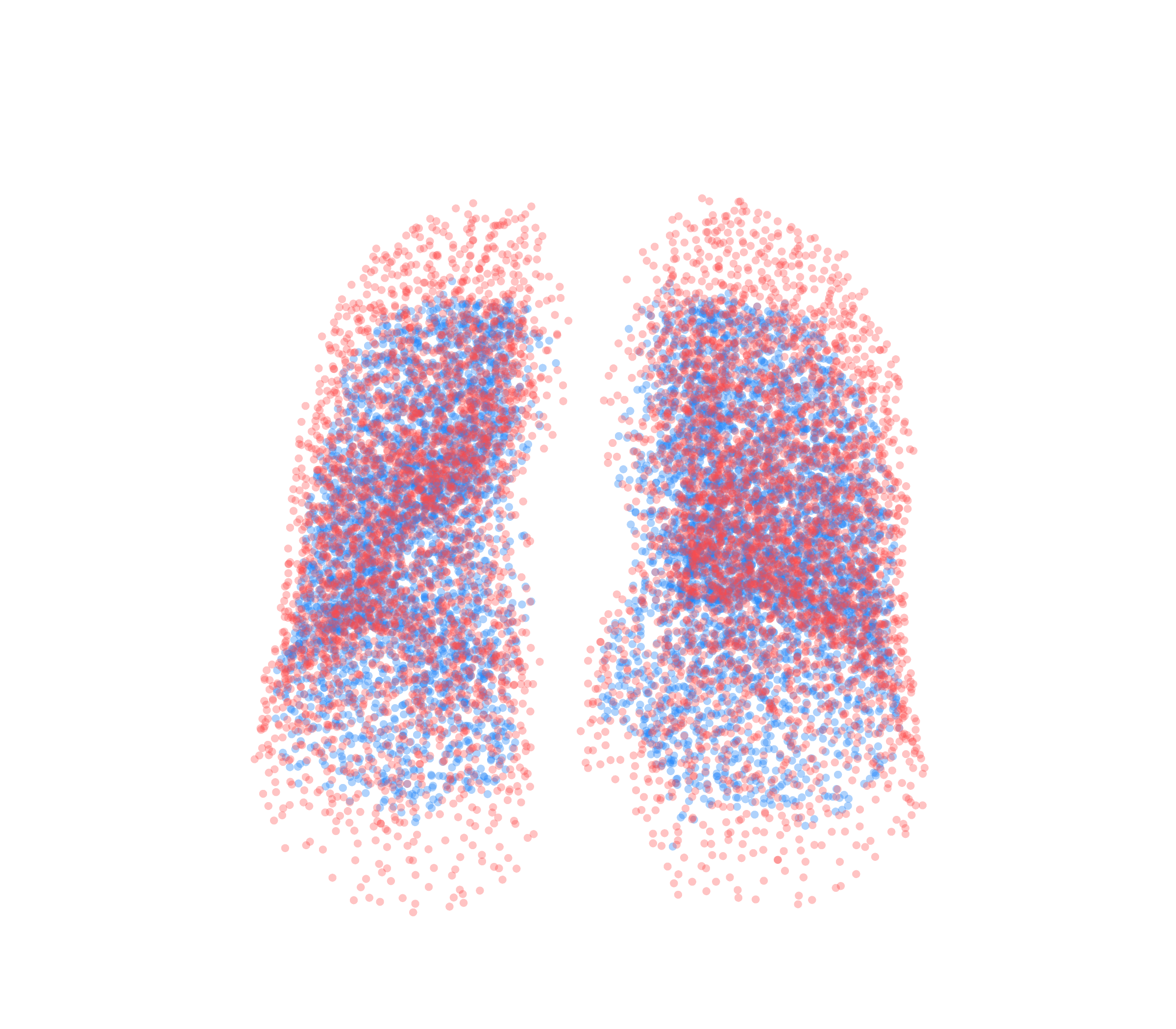 Point Cloud - Front View