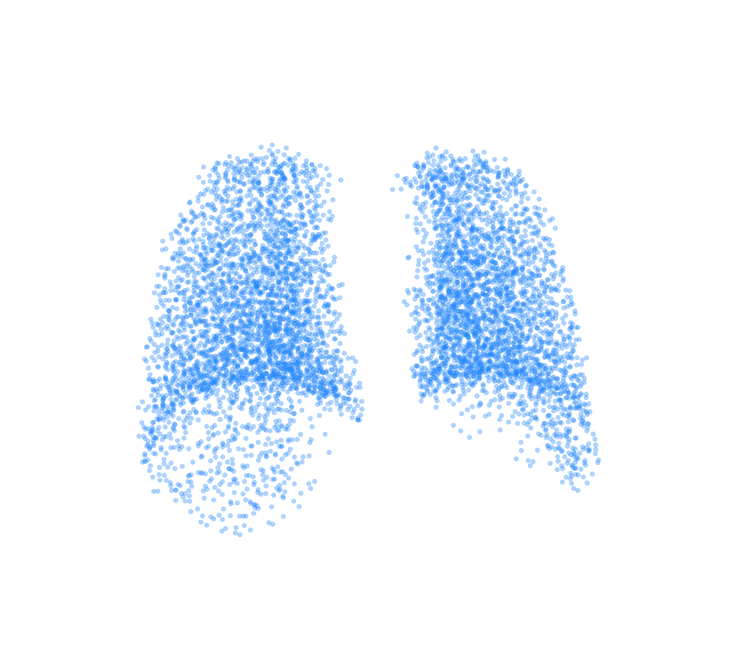 Point Cloud (Inspiration) - Back View