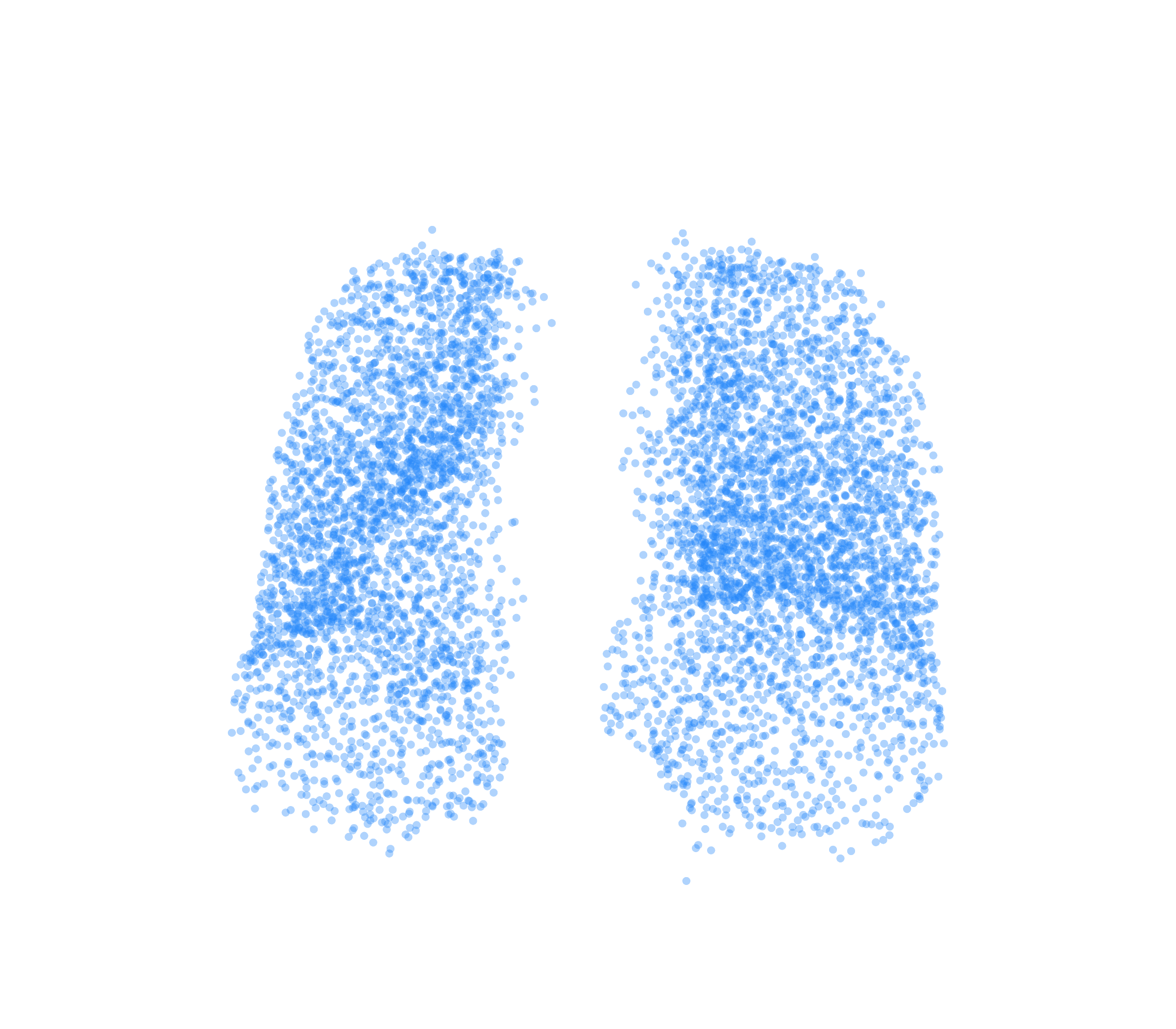 Point Cloud (Inspiration) - Front View