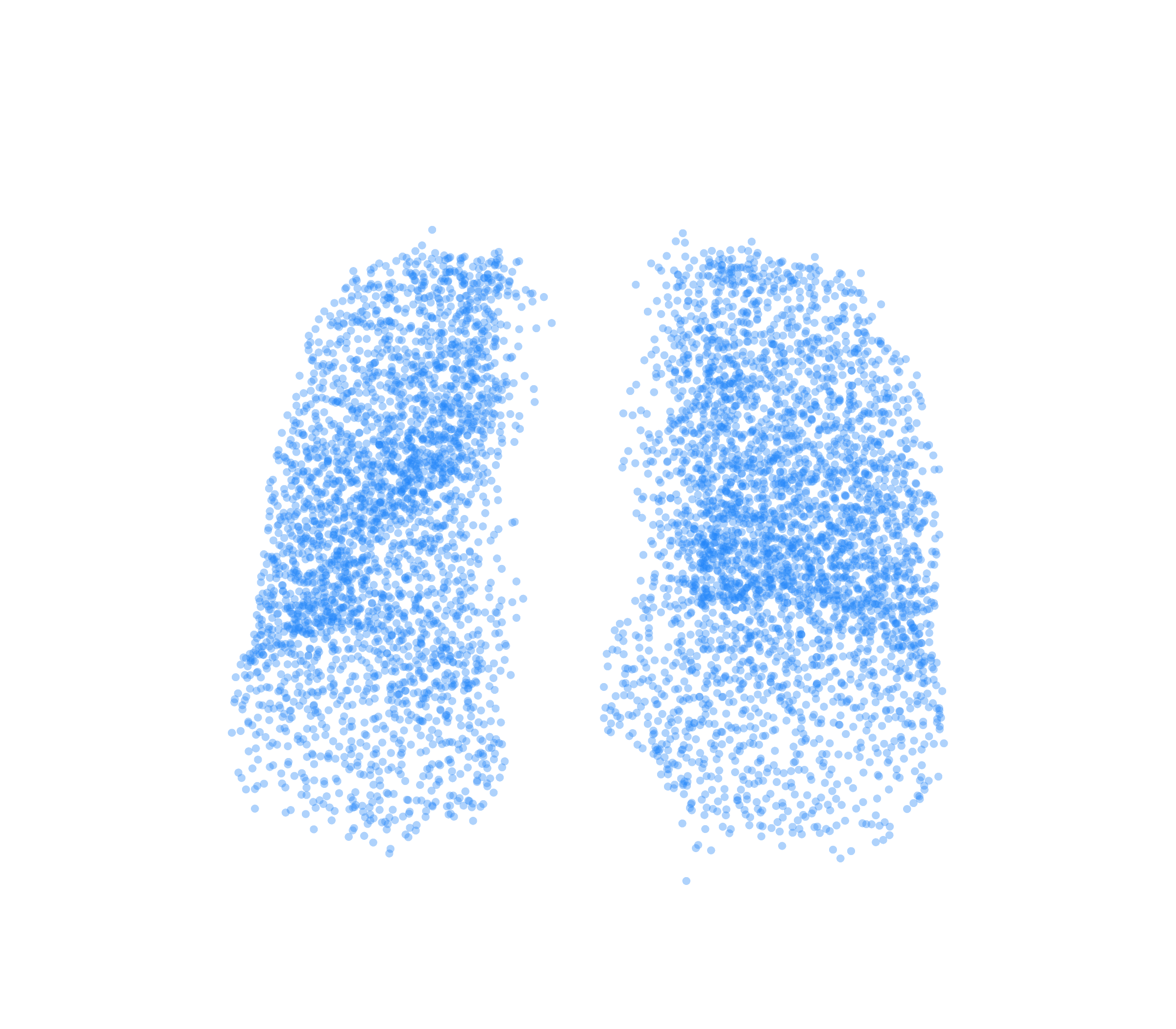 Point Cloud (Inspiration) - Front View
