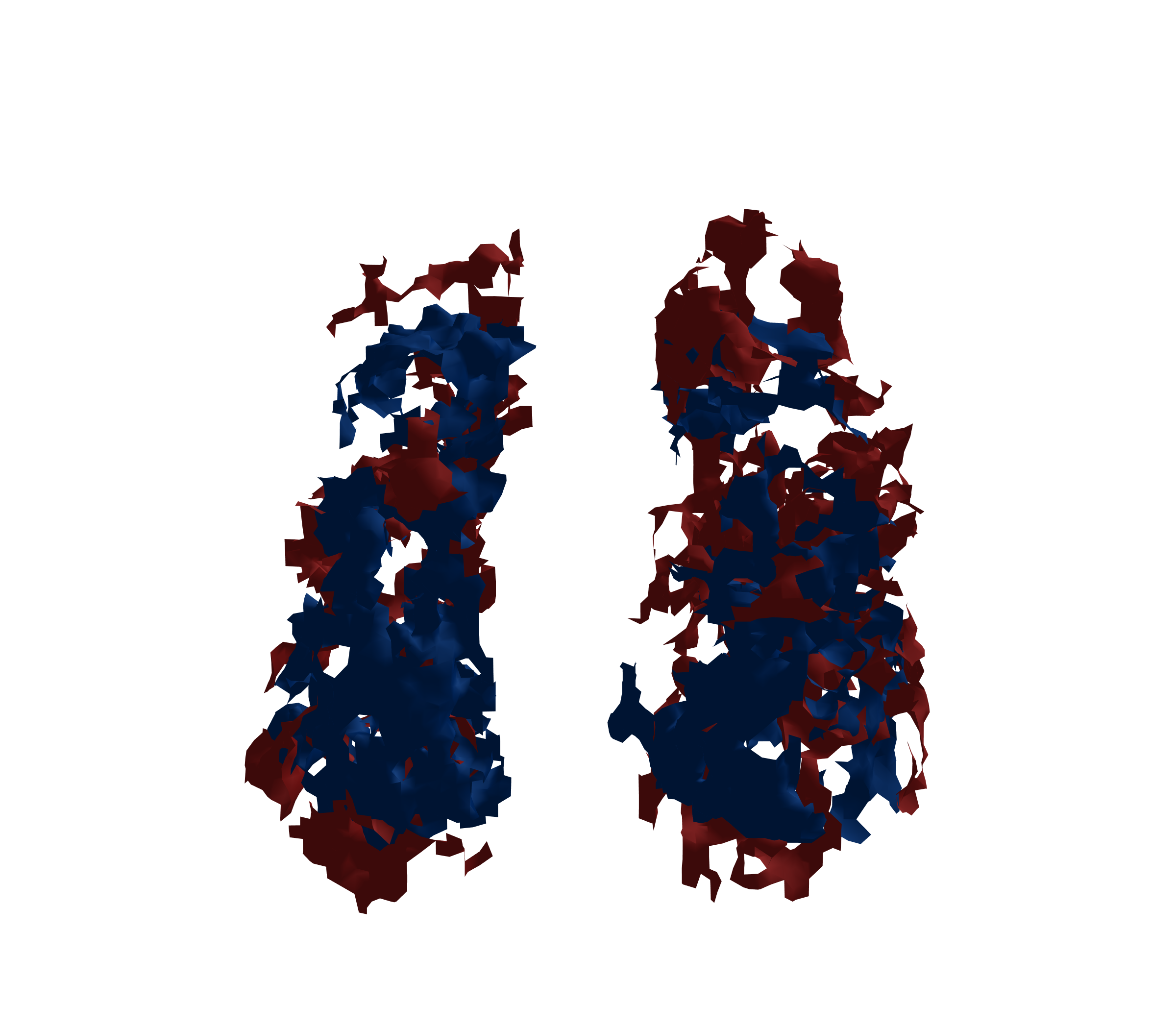 Surface Mesh - Front View