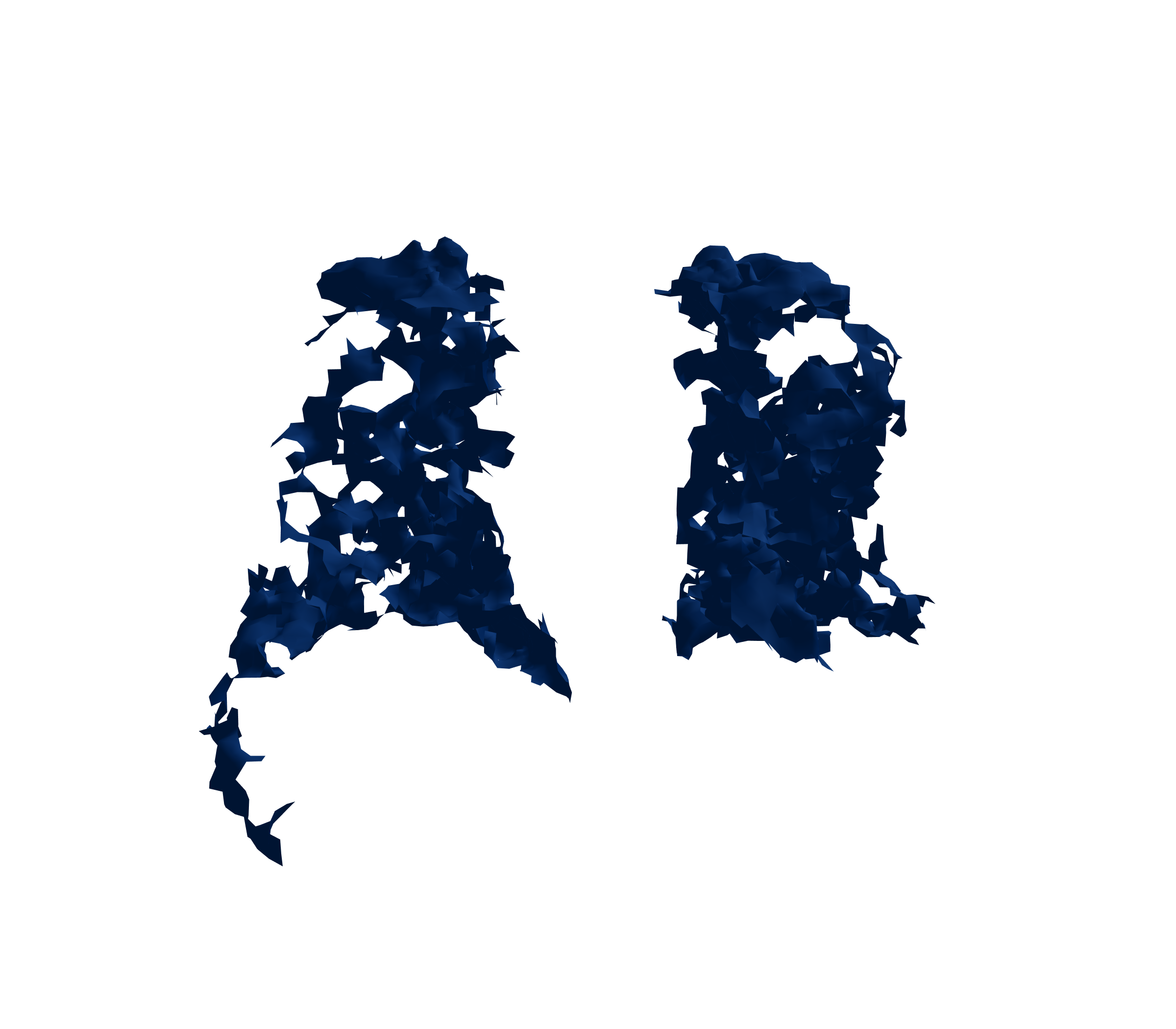 Surface Mesh (Inspiration) - Back View