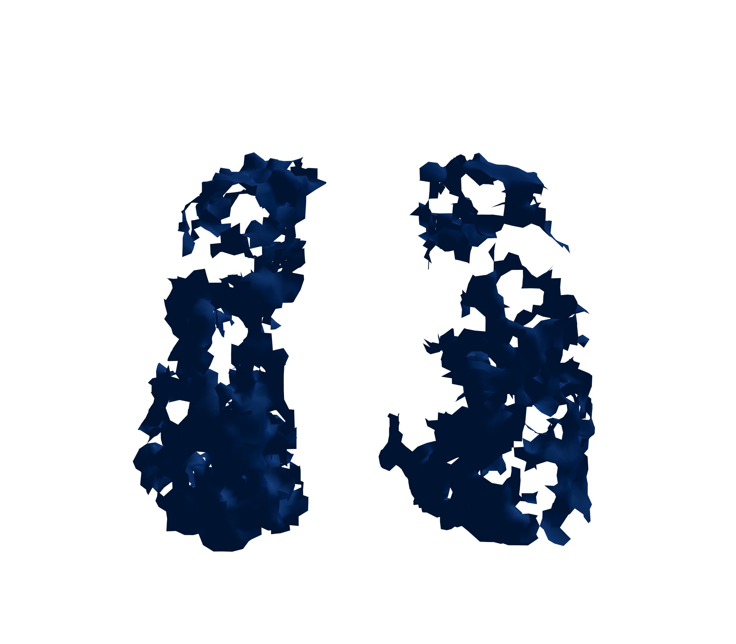 Surface Mesh (Inspiration) - Front View