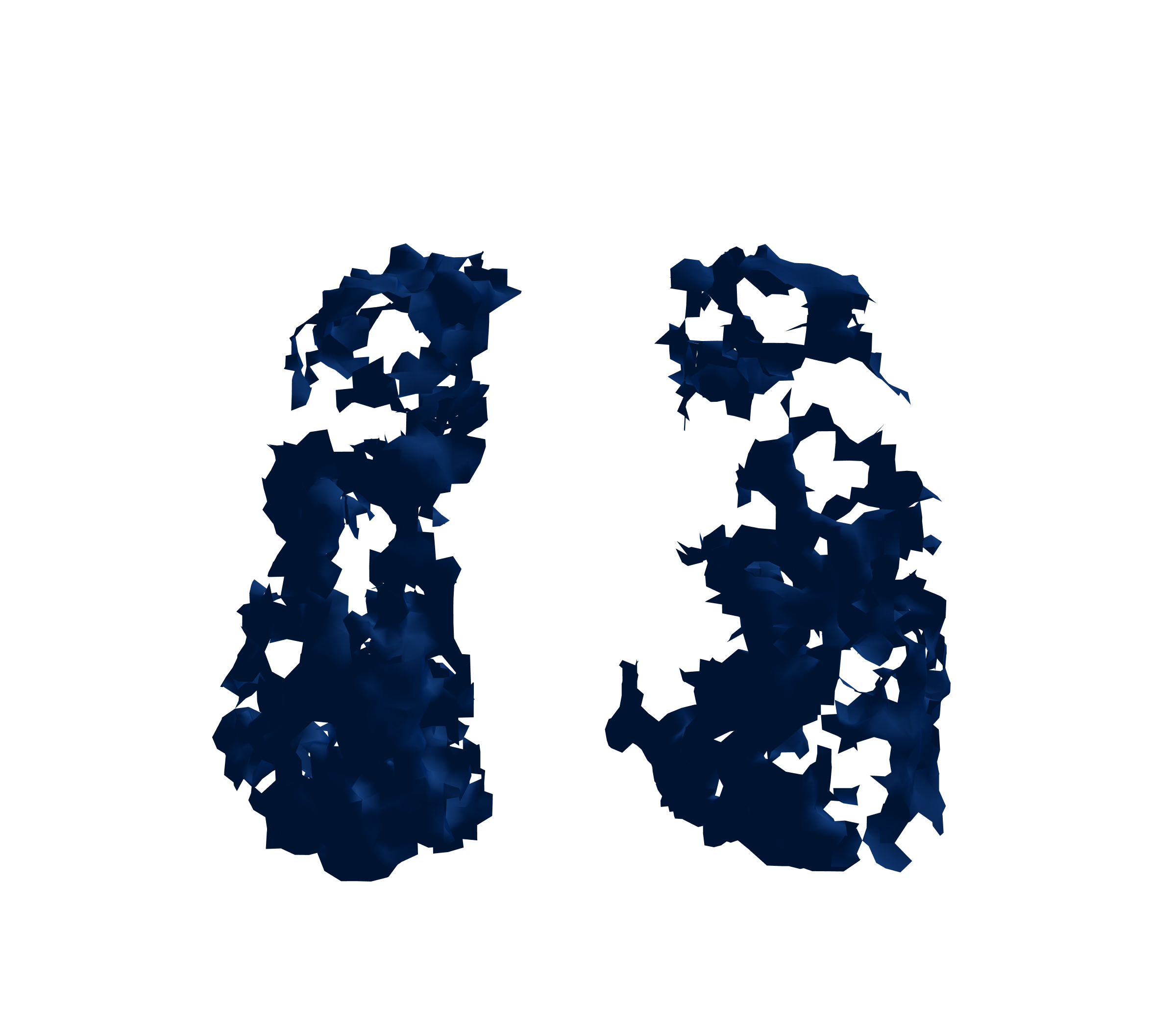 Surface Mesh (Inspiration) - Front View