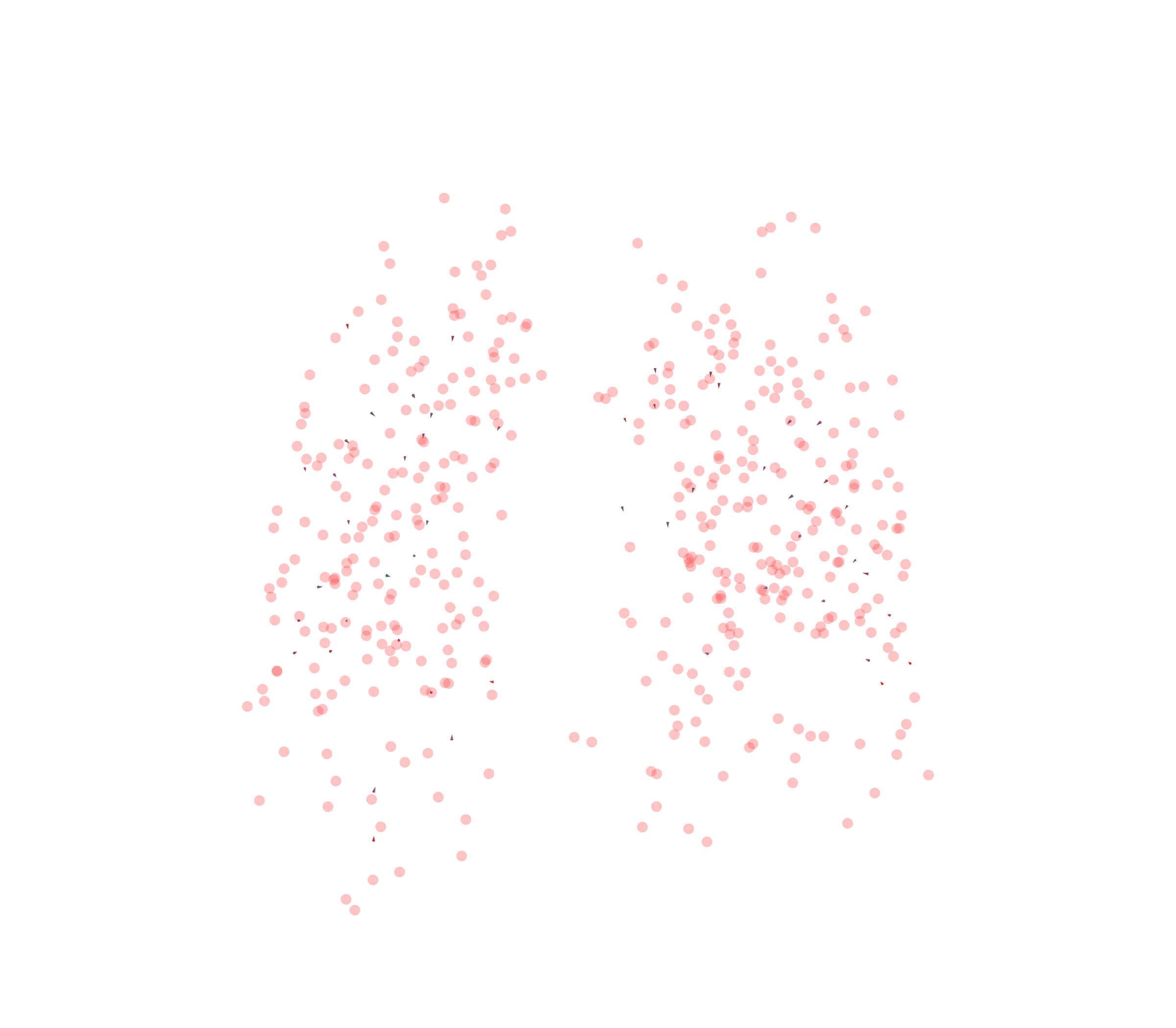 Displacement Vectors - Front View