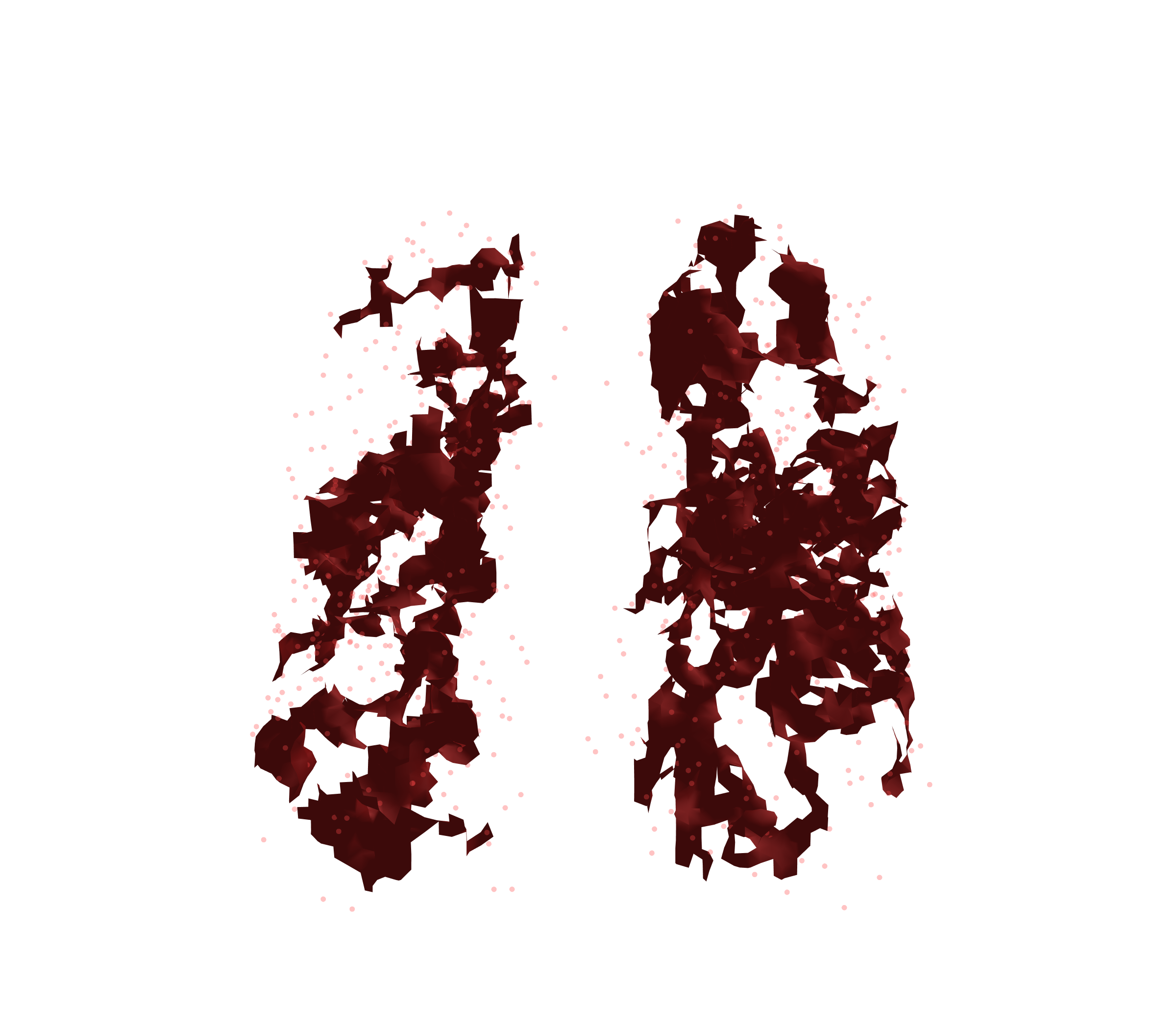 Combined Visualization (Expiration) - Front View