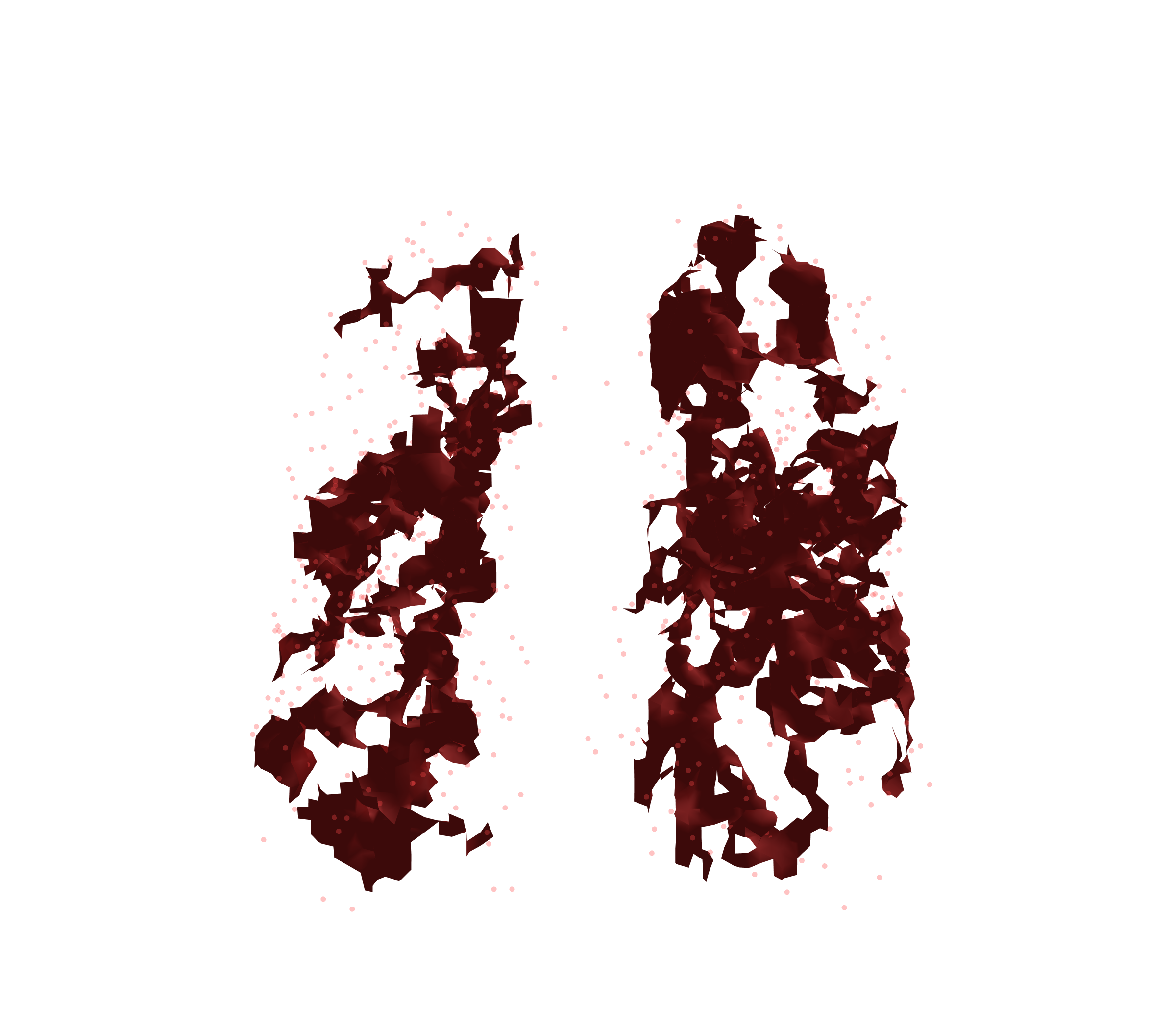 Combined Visualization (Expiration) - Front View