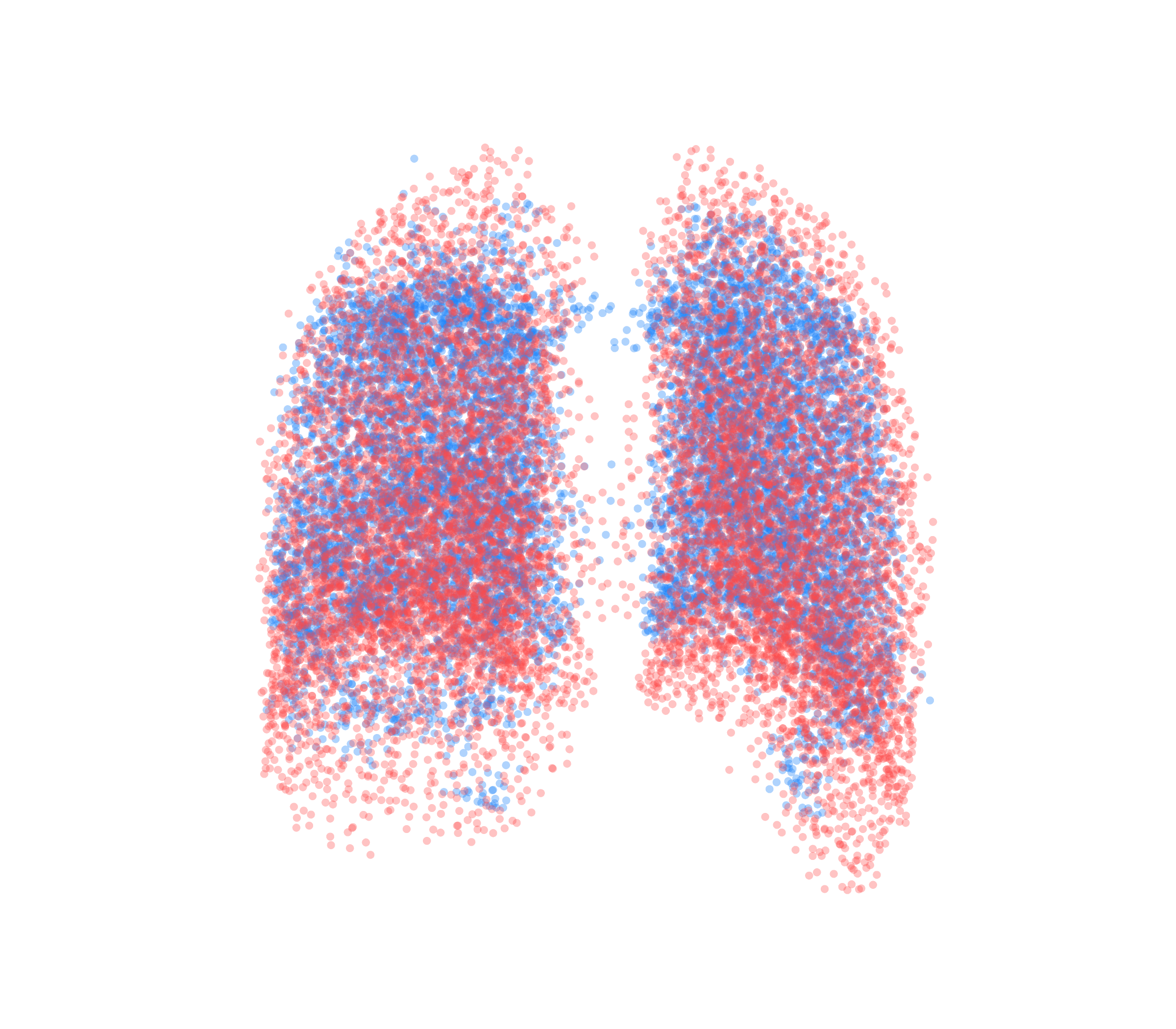 Point Cloud - Back View